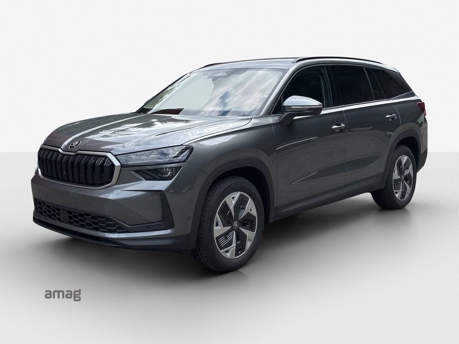 SKODA Kodiaq Dynamic (Netto), Benzina, Occasioni / Usate, Automatico - 2