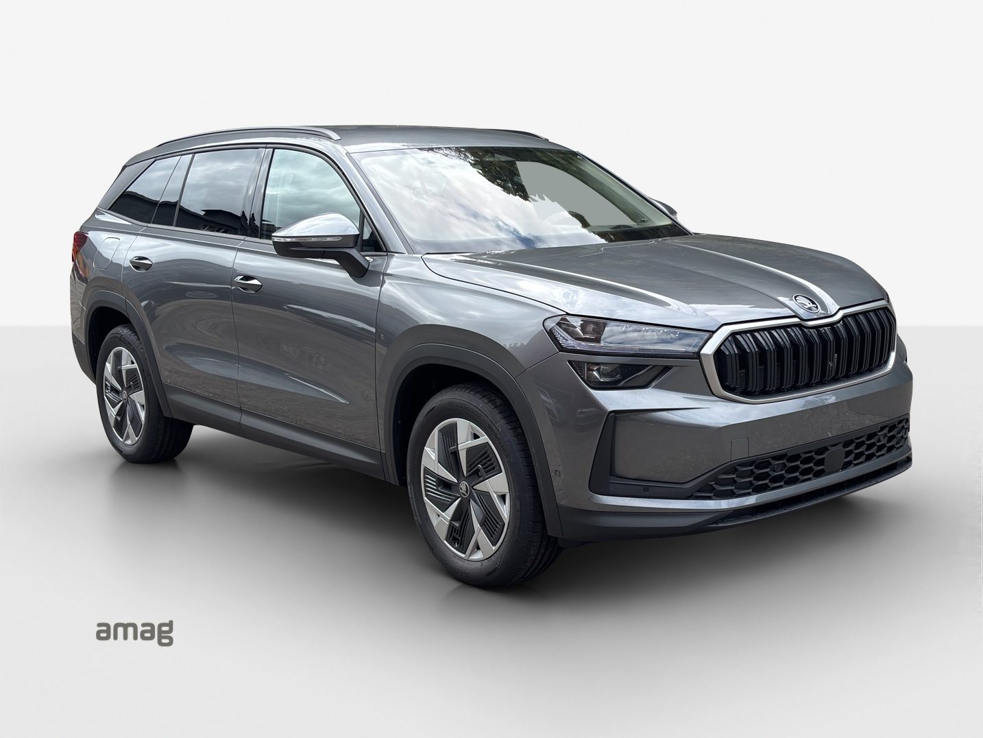 SKODA Kodiaq Dynamic (Netto), Benzina, Occasioni / Usate, Automatico - 7