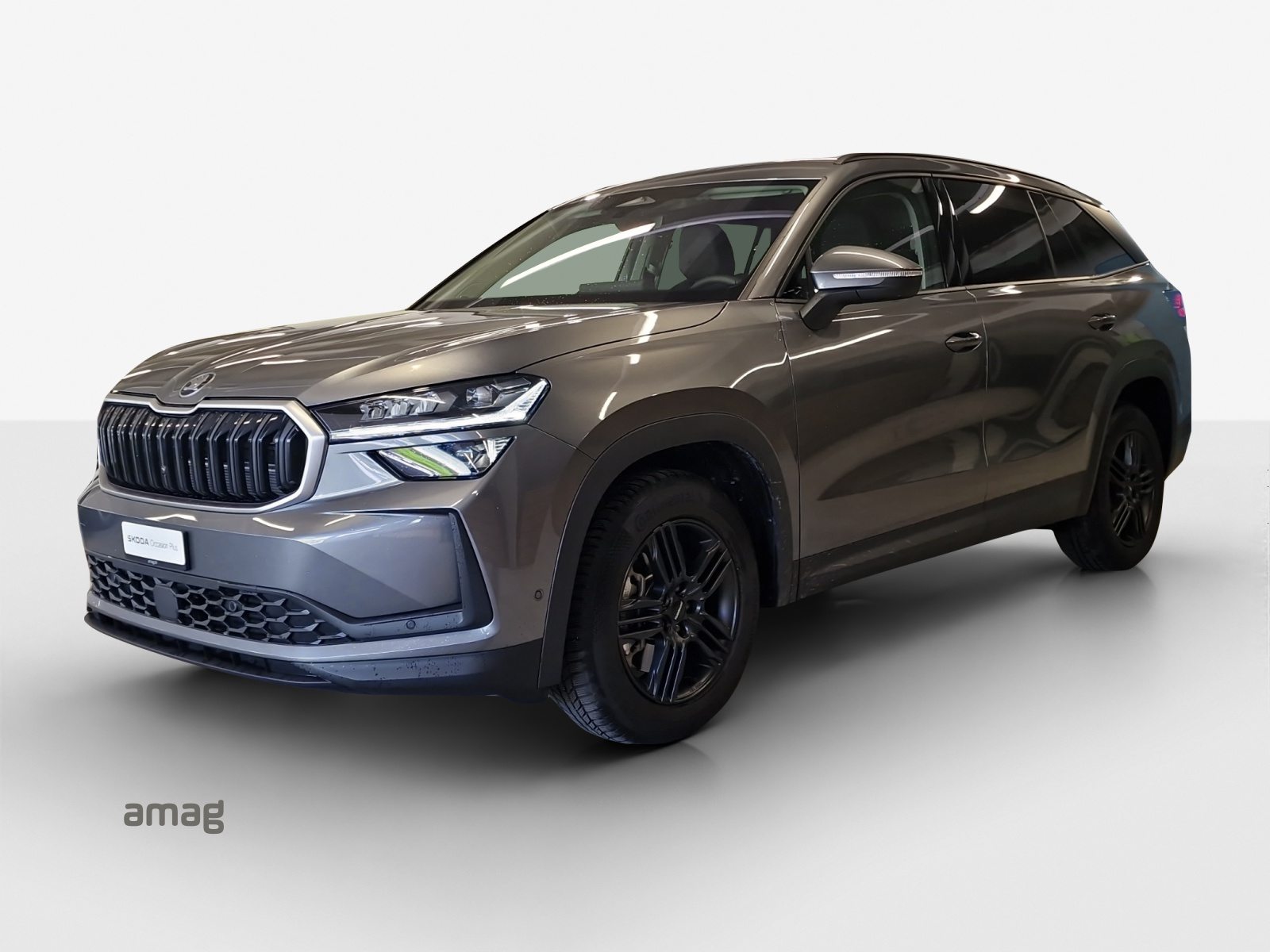 SKODA Kodiaq Dynamic (Netto)