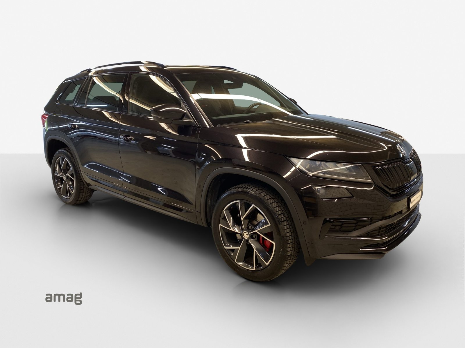 SKODA KODIAQ RS, Diesel, Occasion / Gebraucht, Automatik - 6