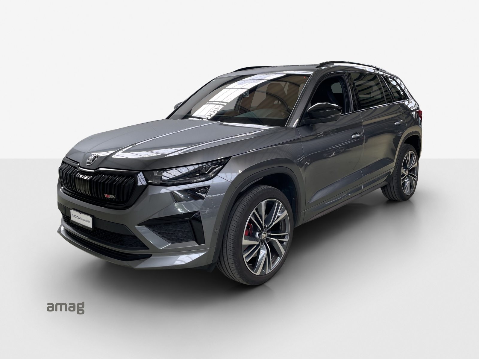 SKODA NEW KODIAQ RS, Benzina, Occasioni / Usate, Automatico