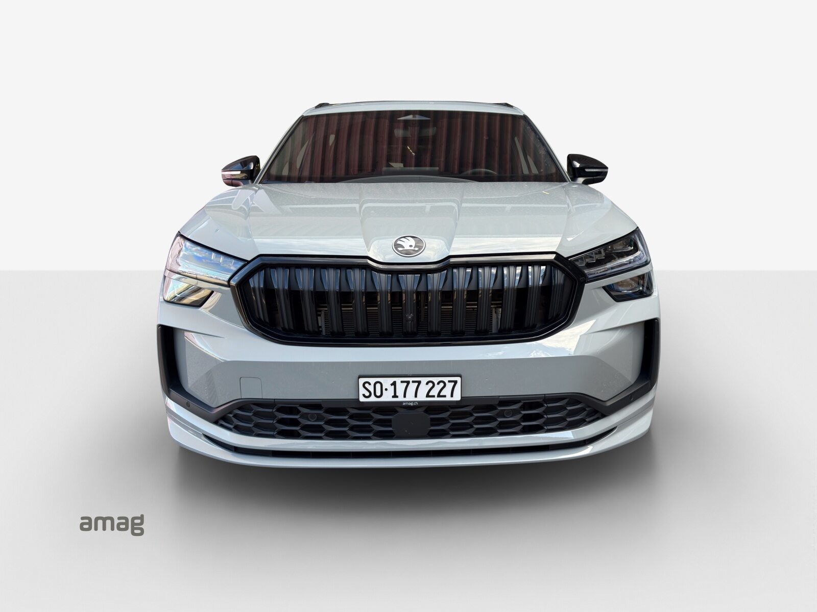 SKODA Kodiaq Sportline, Benzina, Occasioni / Usate, Automatico - 7