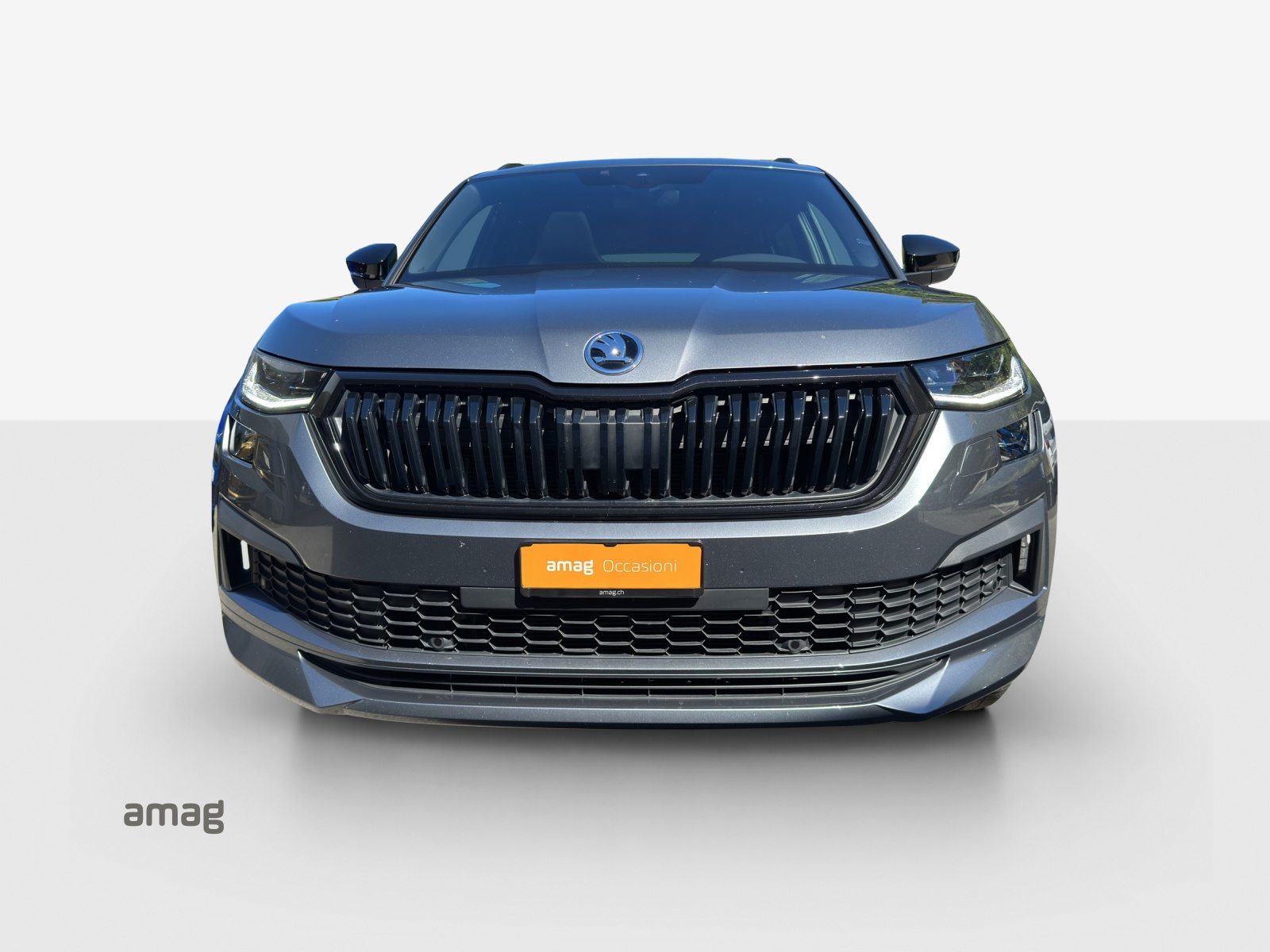 SKODA Kodiaq SportLine, Benzina, Occasioni / Usate, Automatico - 7