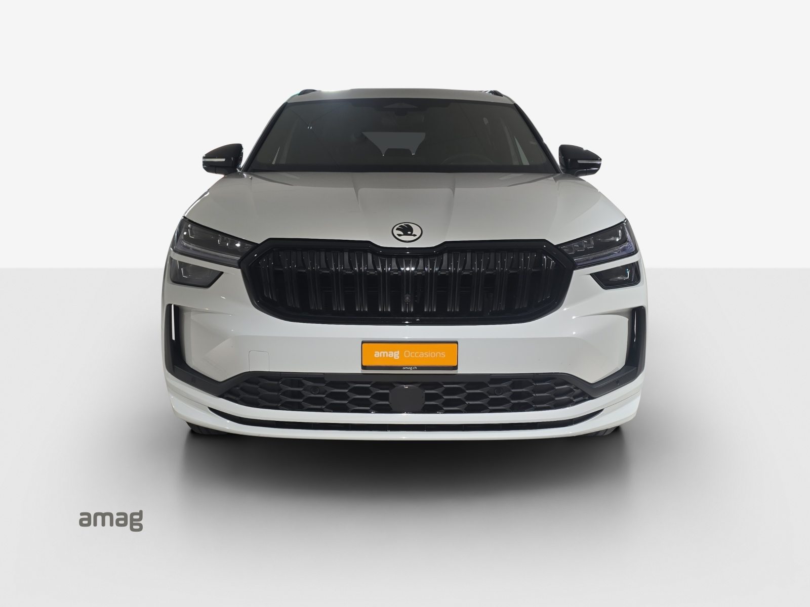 SKODA Kodiaq Sportline, Benzina, Occasioni / Usate, Automatico - 7