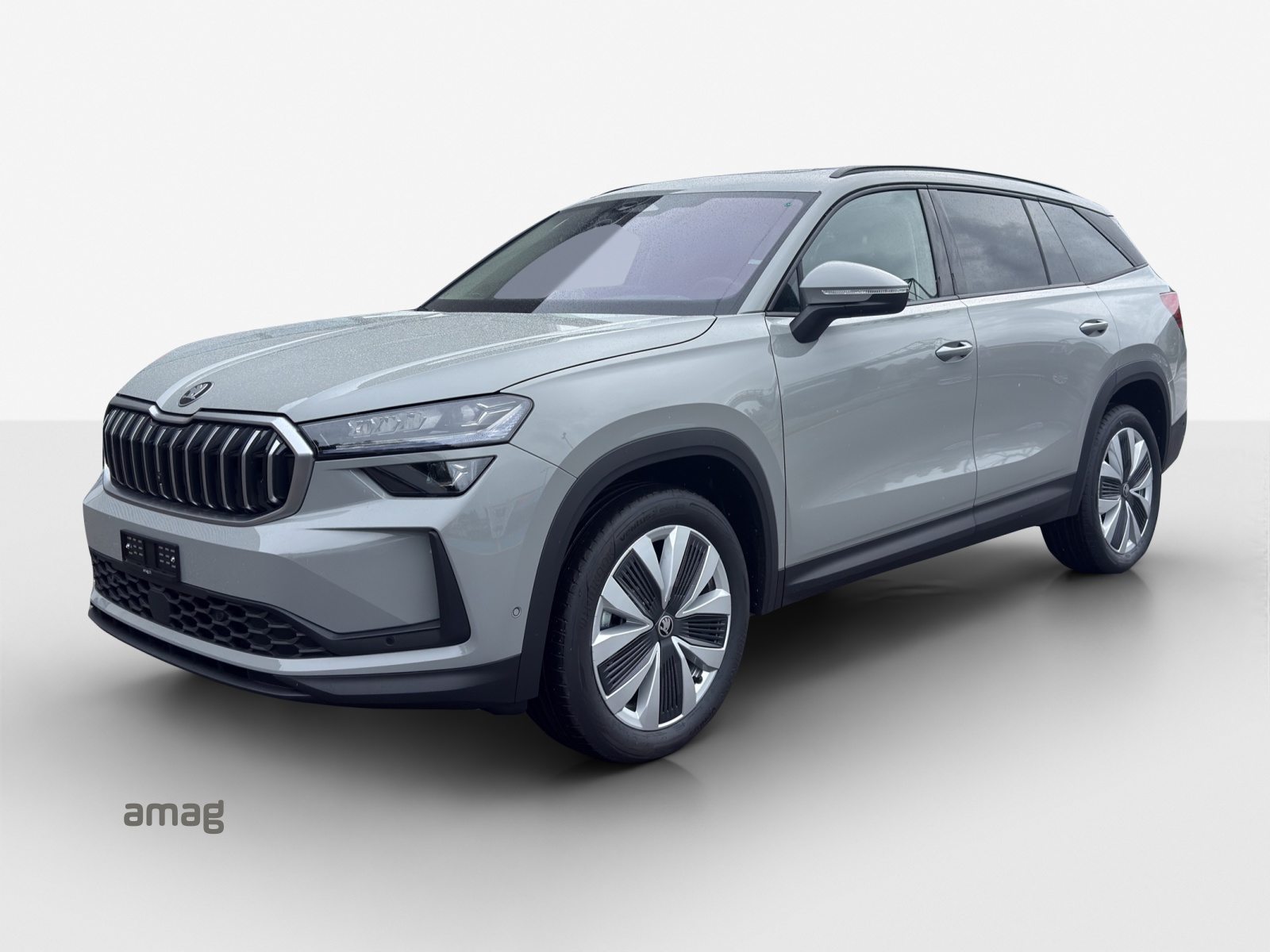 SKODA Kodiaq Dynamic (Netto)