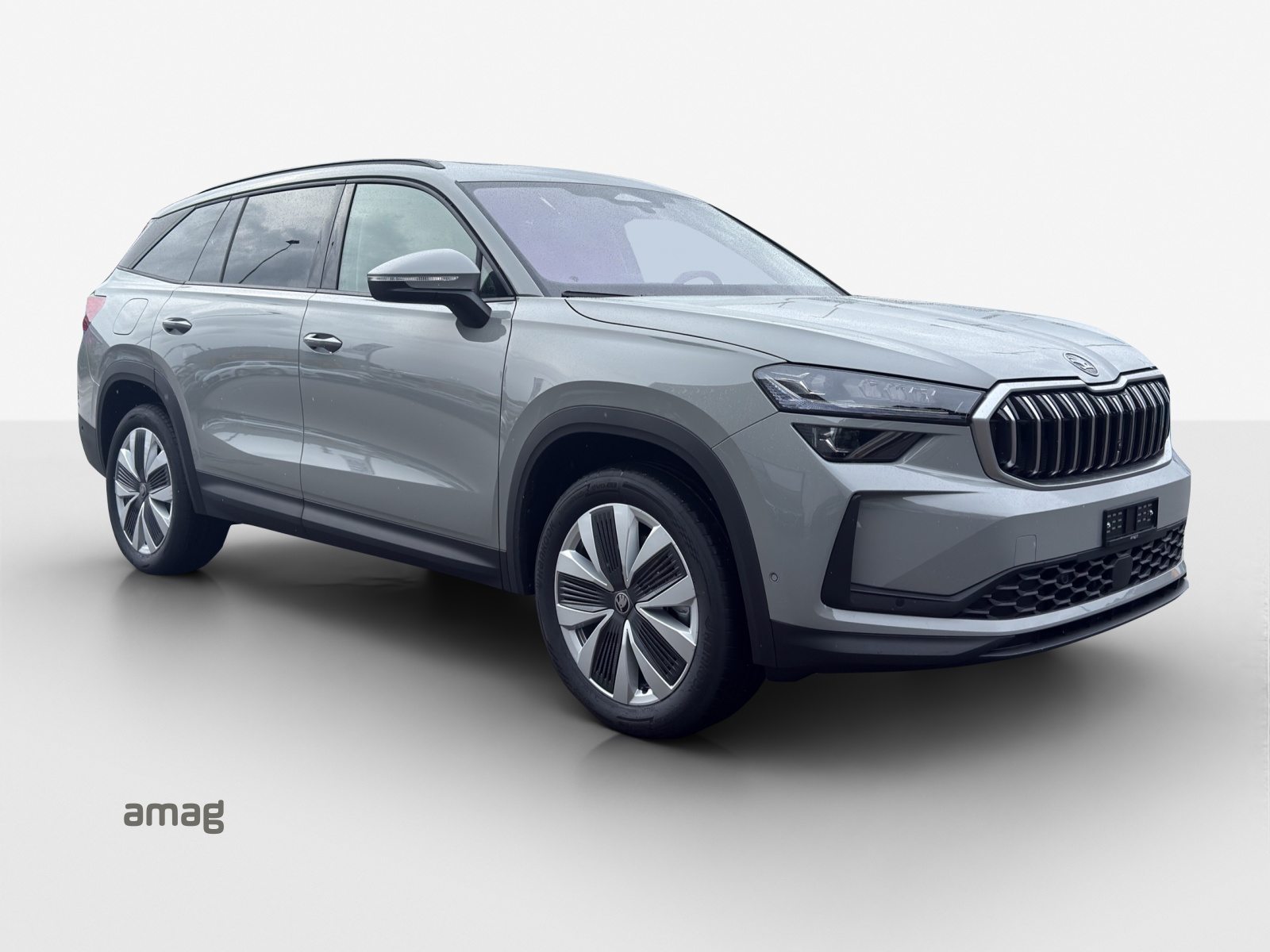 SKODA Kodiaq Dynamic (Netto), Diesel, Occasion / Gebraucht, Automatik - 6