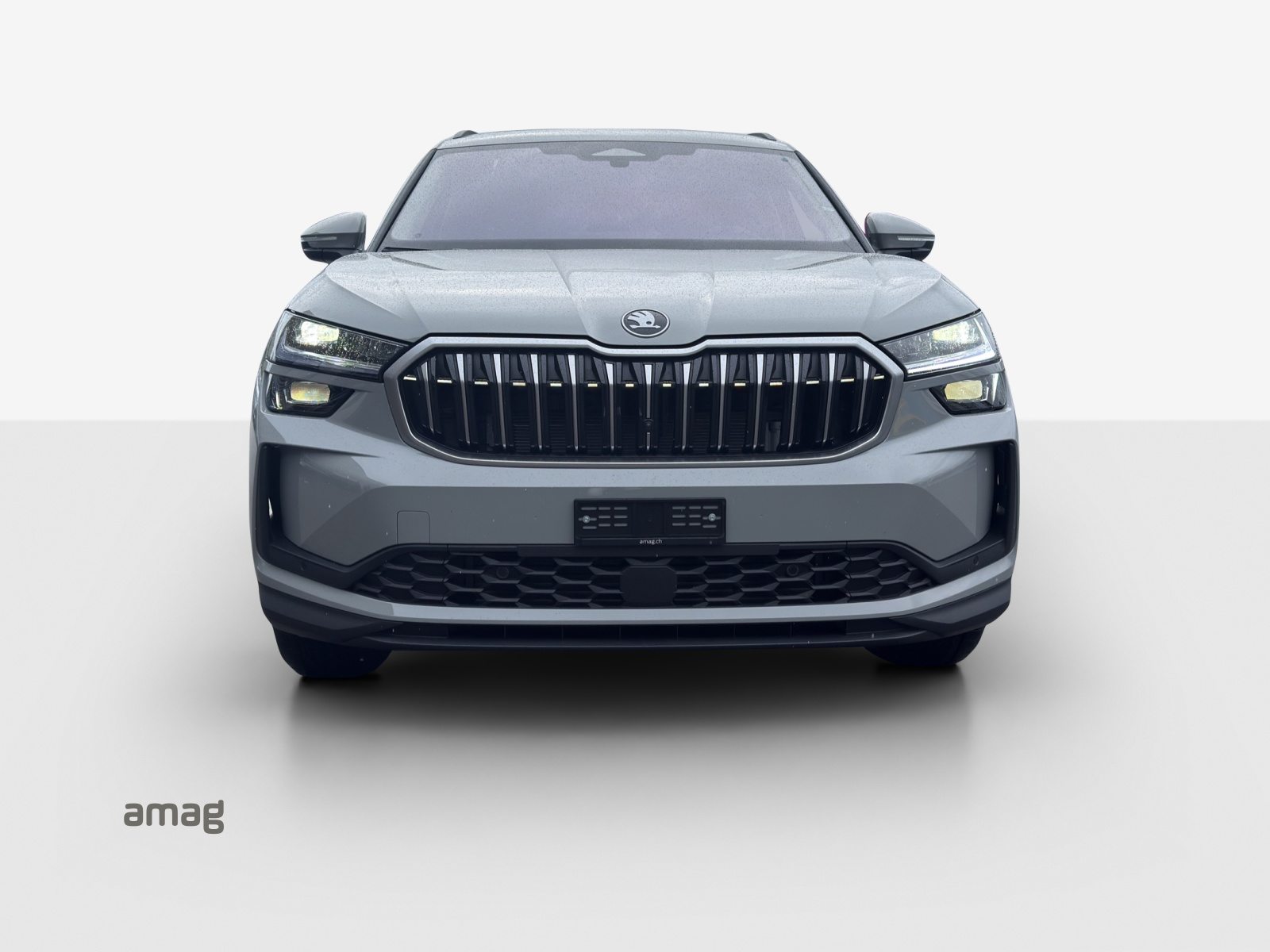 SKODA Kodiaq Dynamic (Netto), Diesel, Occasion / Gebraucht, Automatik - 7