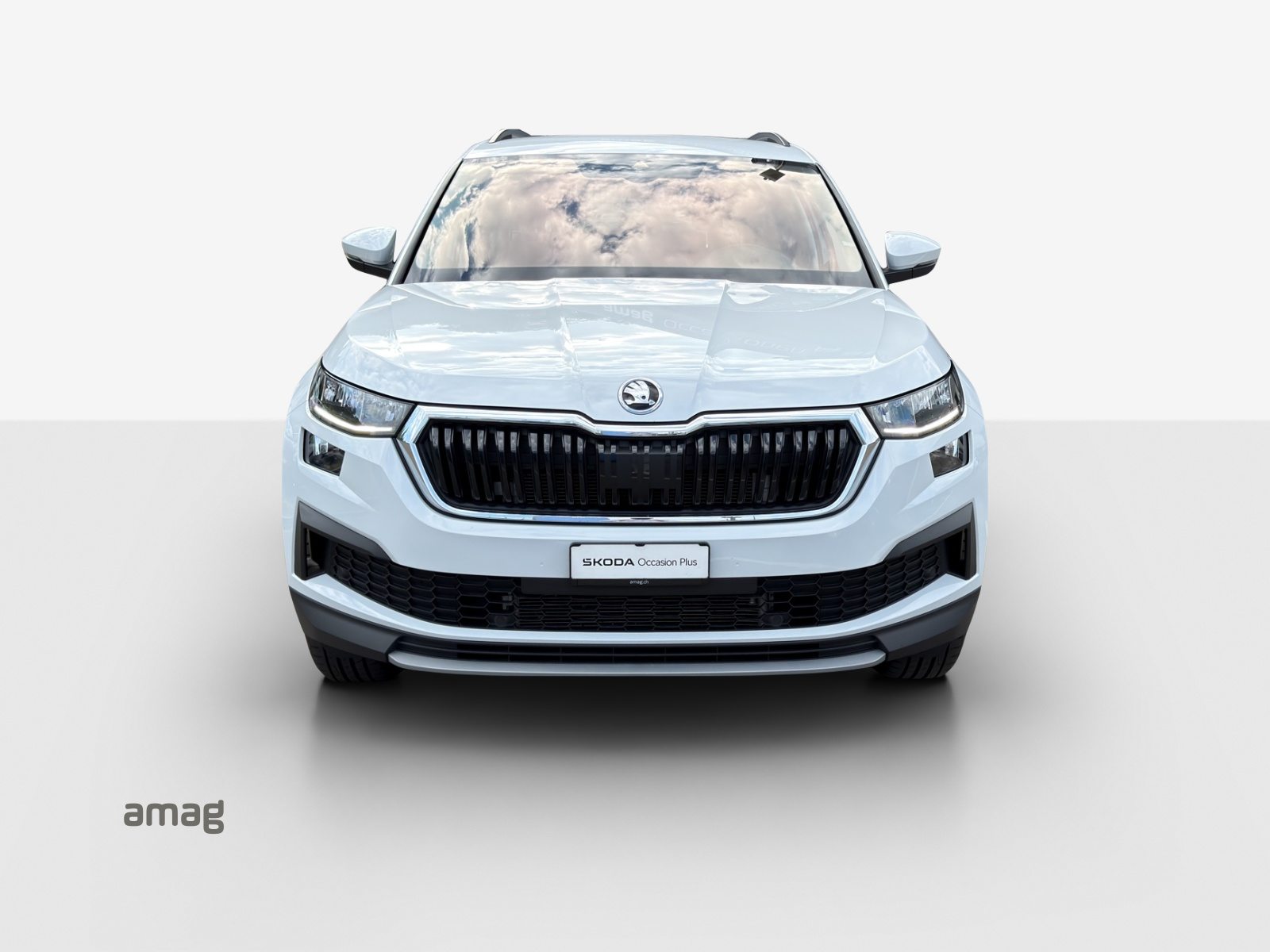 SKODA Kodiaq Ambition, Diesel, Occasion / Utilisé, Automatique - 7