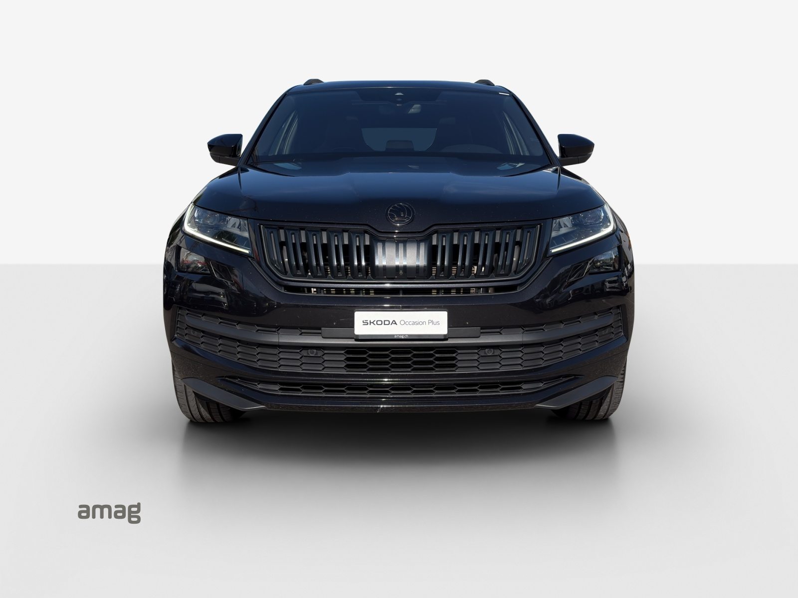 SKODA KODIAQ SportLine, Benzina, Occasioni / Usate, Automatico - 7