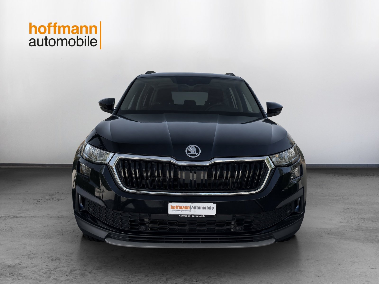 SKODA Kodiaq 2.0 TDI CR Ambition 4x4 DSG, Diesel, Second hand / Used, Automatic - 2
