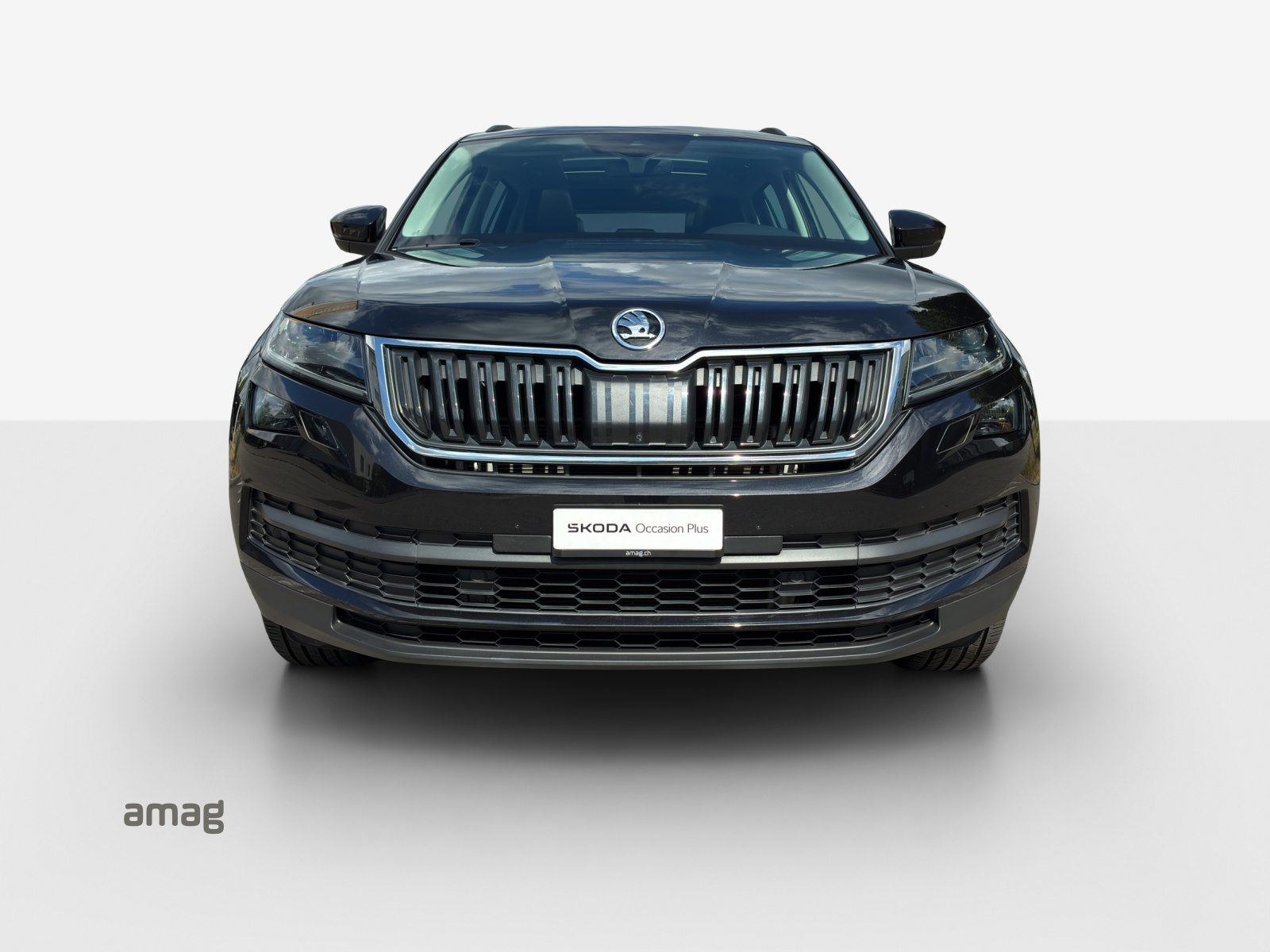 SKODA KODIAQ STYLE, Diesel, Occasioni / Usate, Automatico - 2