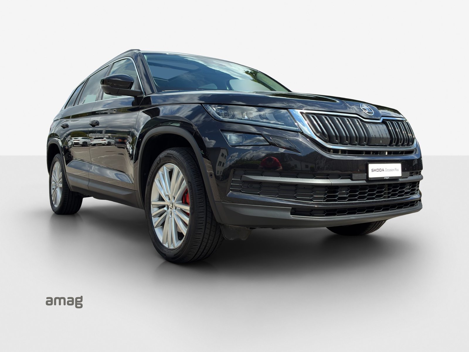 SKODA KODIAQ STYLE, Diesel, Occasioni / Usate, Automatico - 6