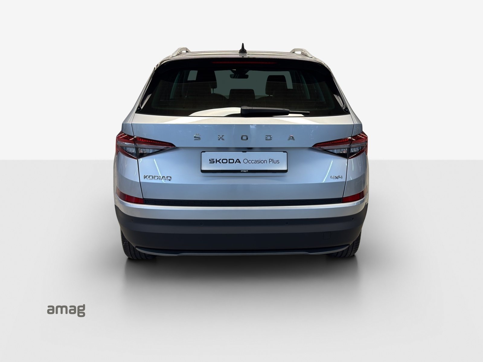 SKODA NEW KODIAQ Style, Diesel, Occasioni / Usate, Automatico - 4