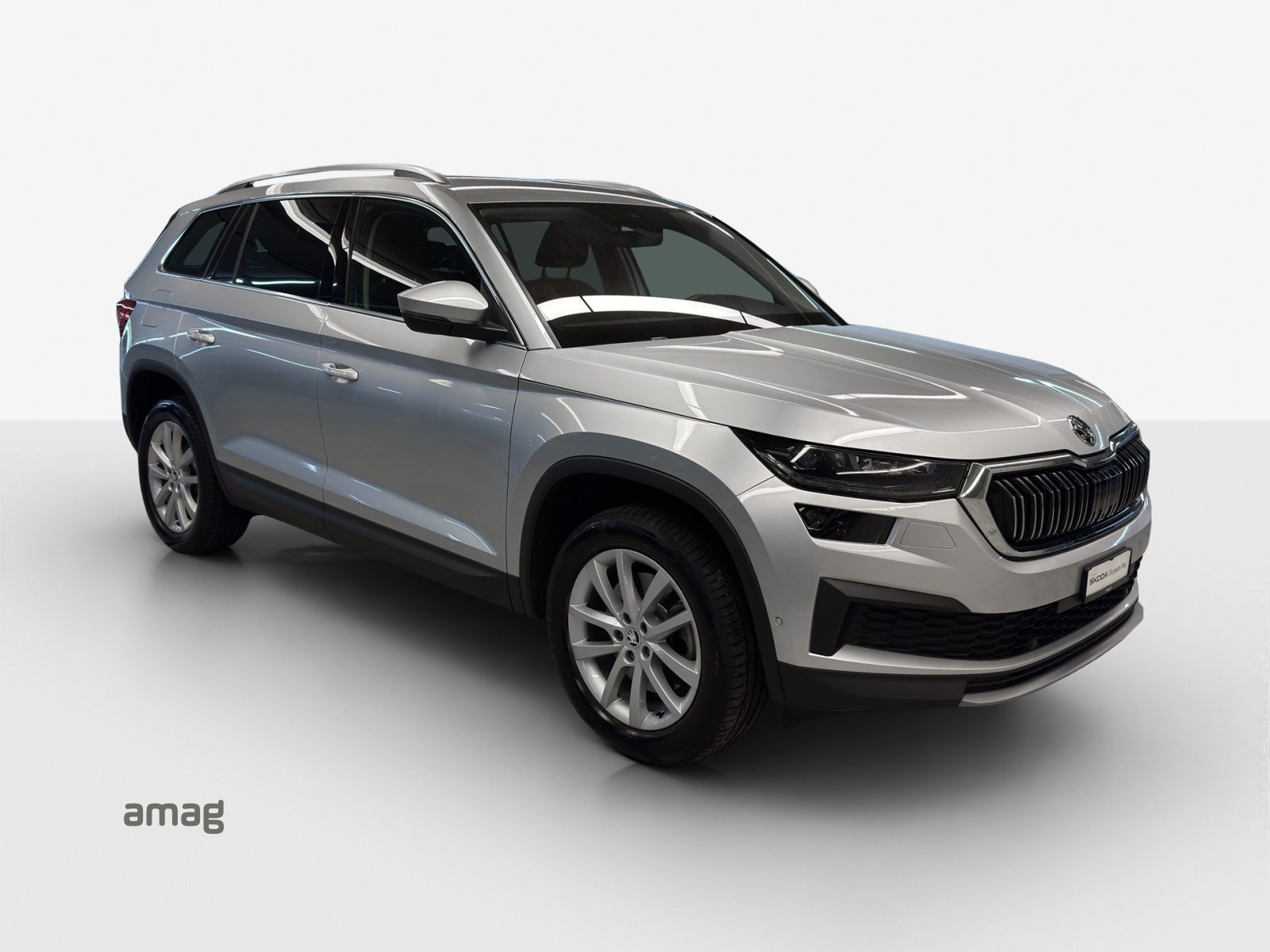 SKODA NEW KODIAQ Style, Diesel, Occasioni / Usate, Automatico - 6