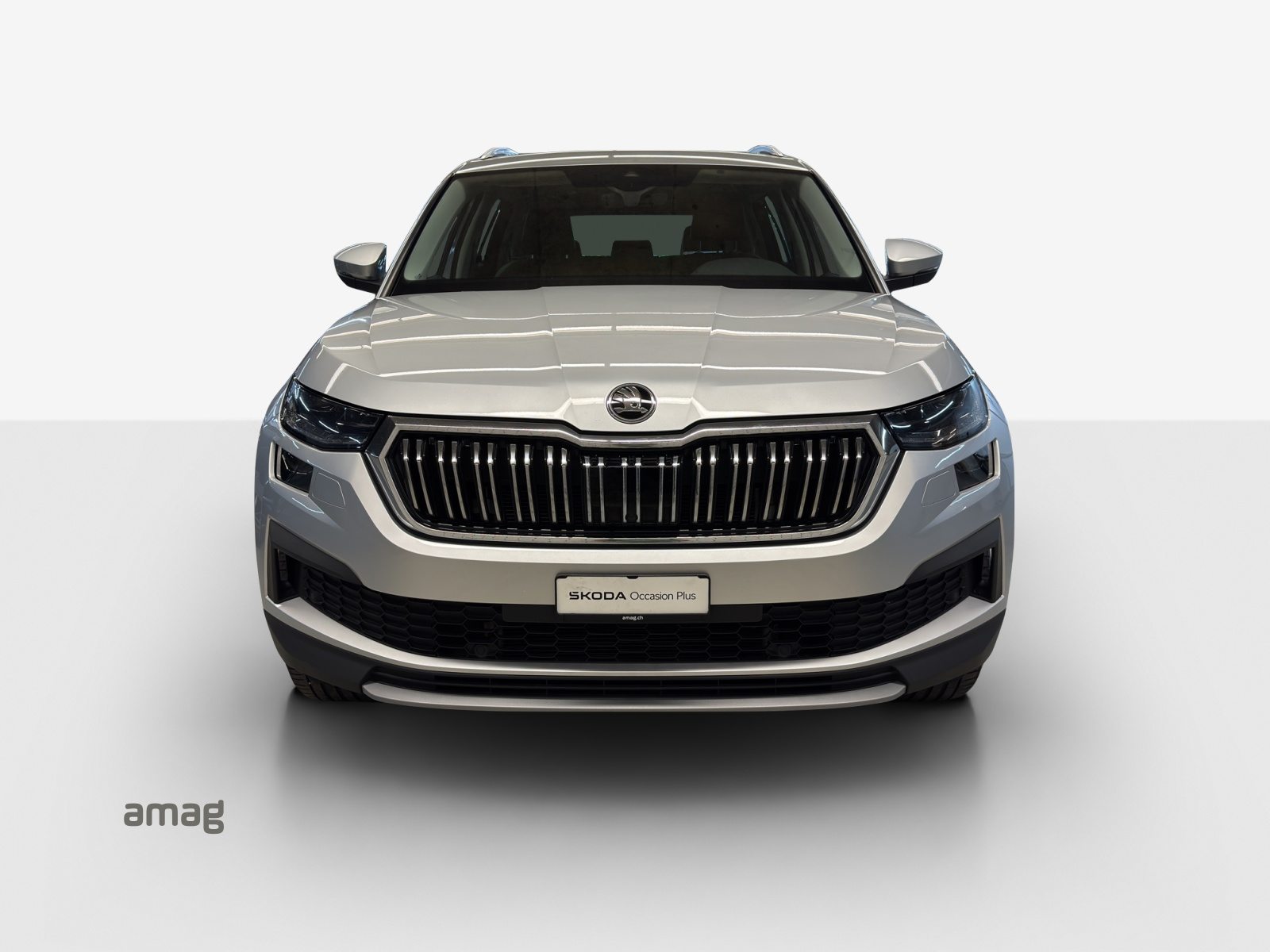 SKODA NEW KODIAQ Style, Diesel, Occasioni / Usate, Automatico - 7