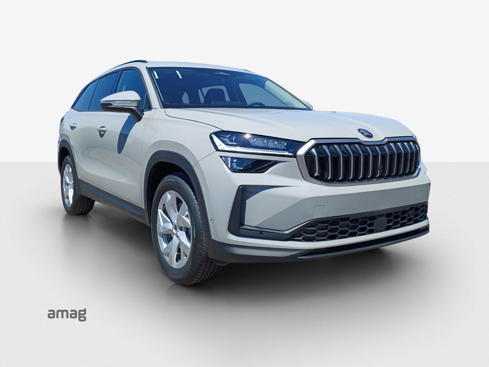 SKODA Kodiaq iV Dynamic (Netto), Hybride Intégral Essence/Électricité, Occasion / Utilisé, Automatique - 6
