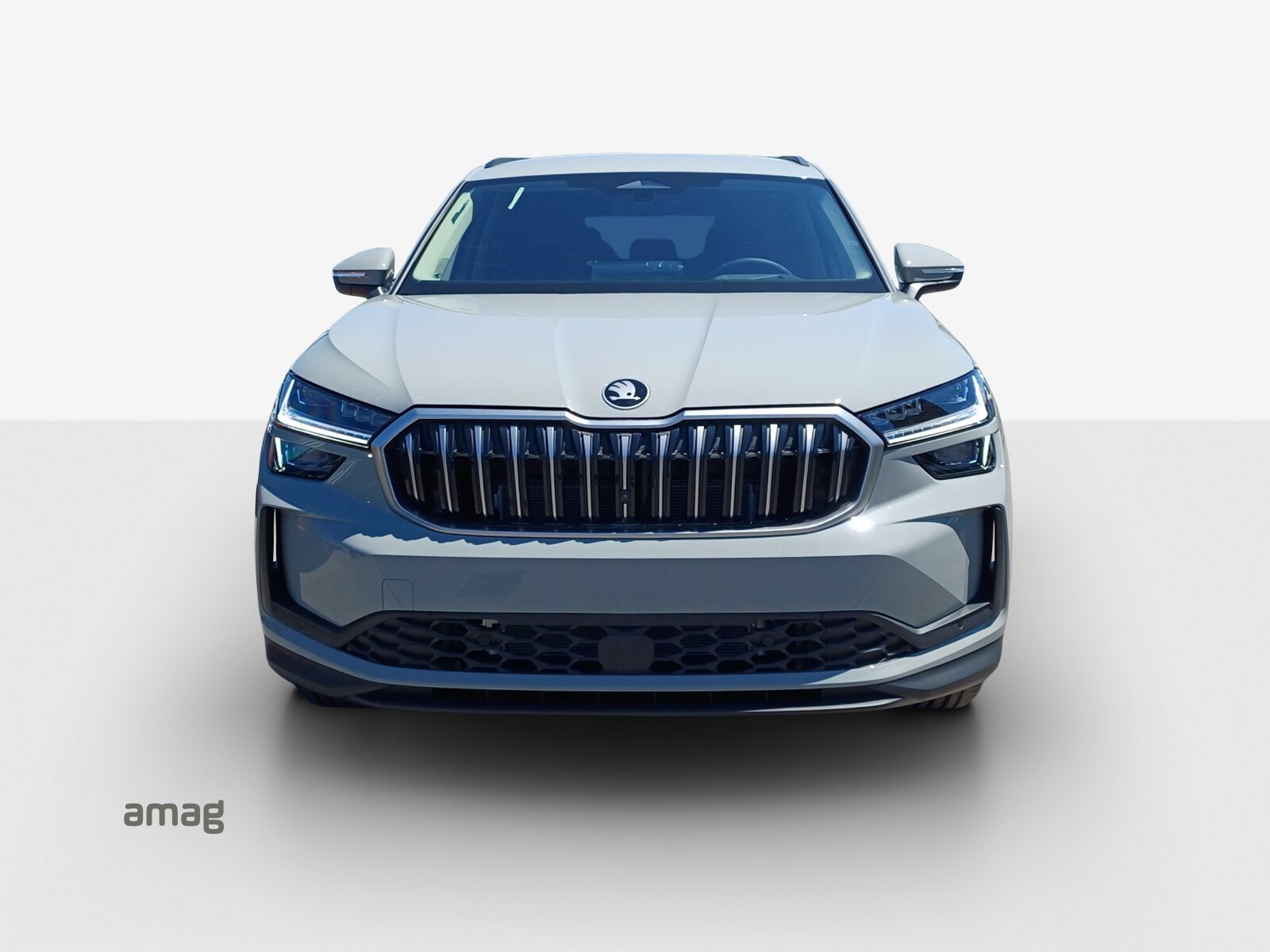 SKODA Kodiaq iV Dynamic (Netto), Hybride Intégral Essence/Électricité, Occasion / Utilisé, Automatique - 7