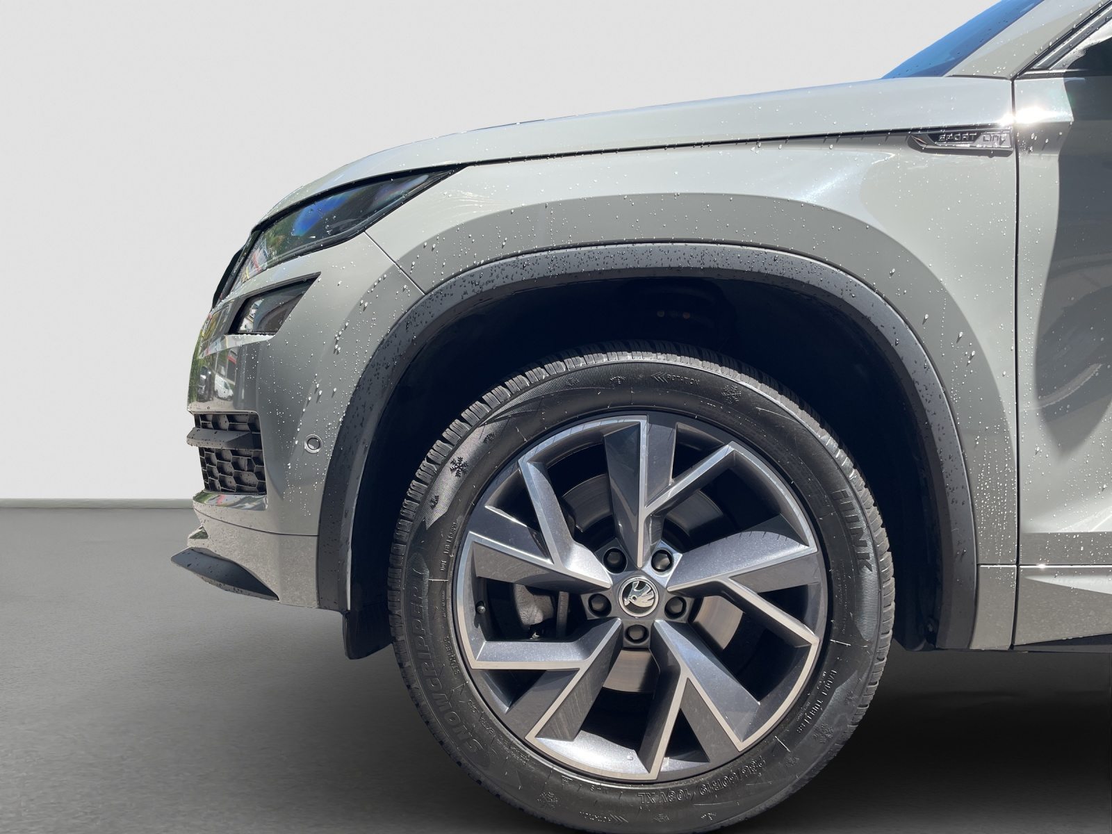 SKODA KODIAQ SportLine, Diesel, Occasion / Gebraucht, Automatik - 5
