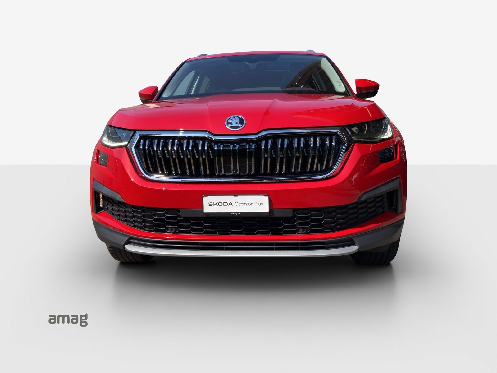 SKODA Kodiaq Style, Benzina, Occasioni / Usate, Automatico - 7