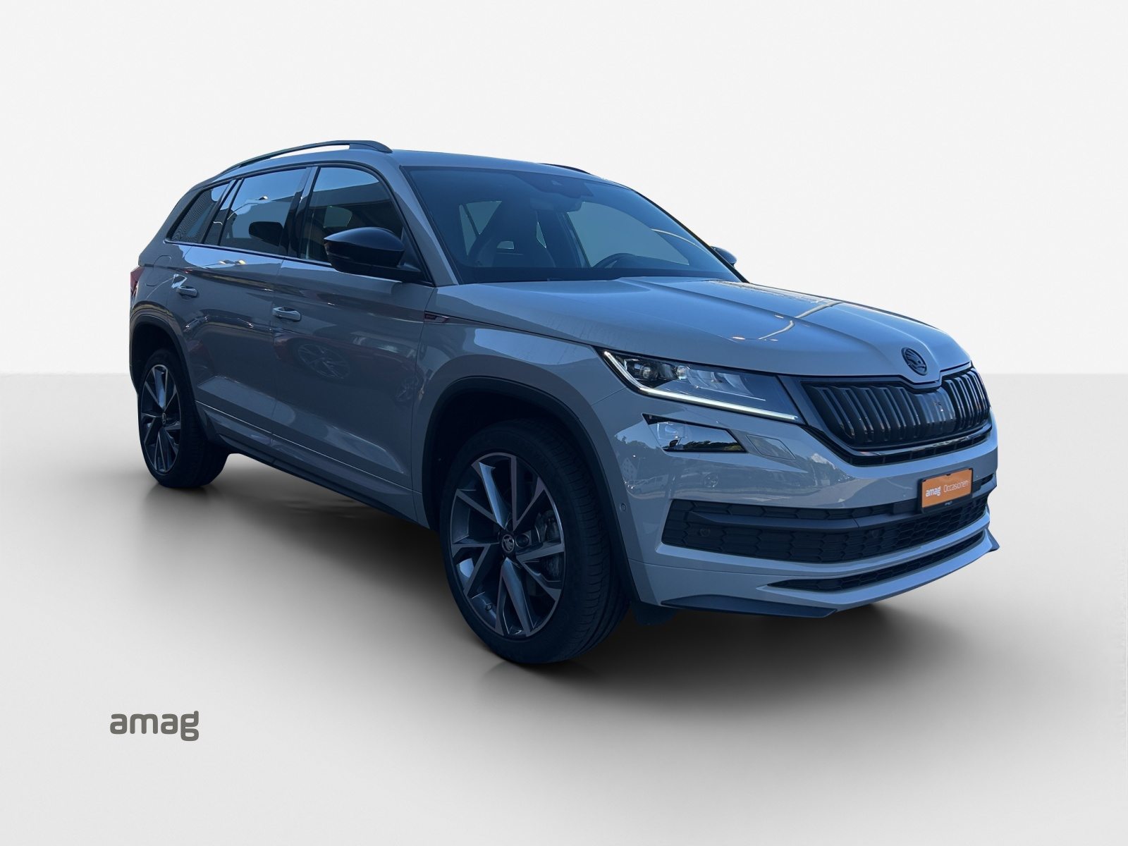SKODA KODIAQ SportLine, Benzina, Occasioni / Usate, Automatico - 6