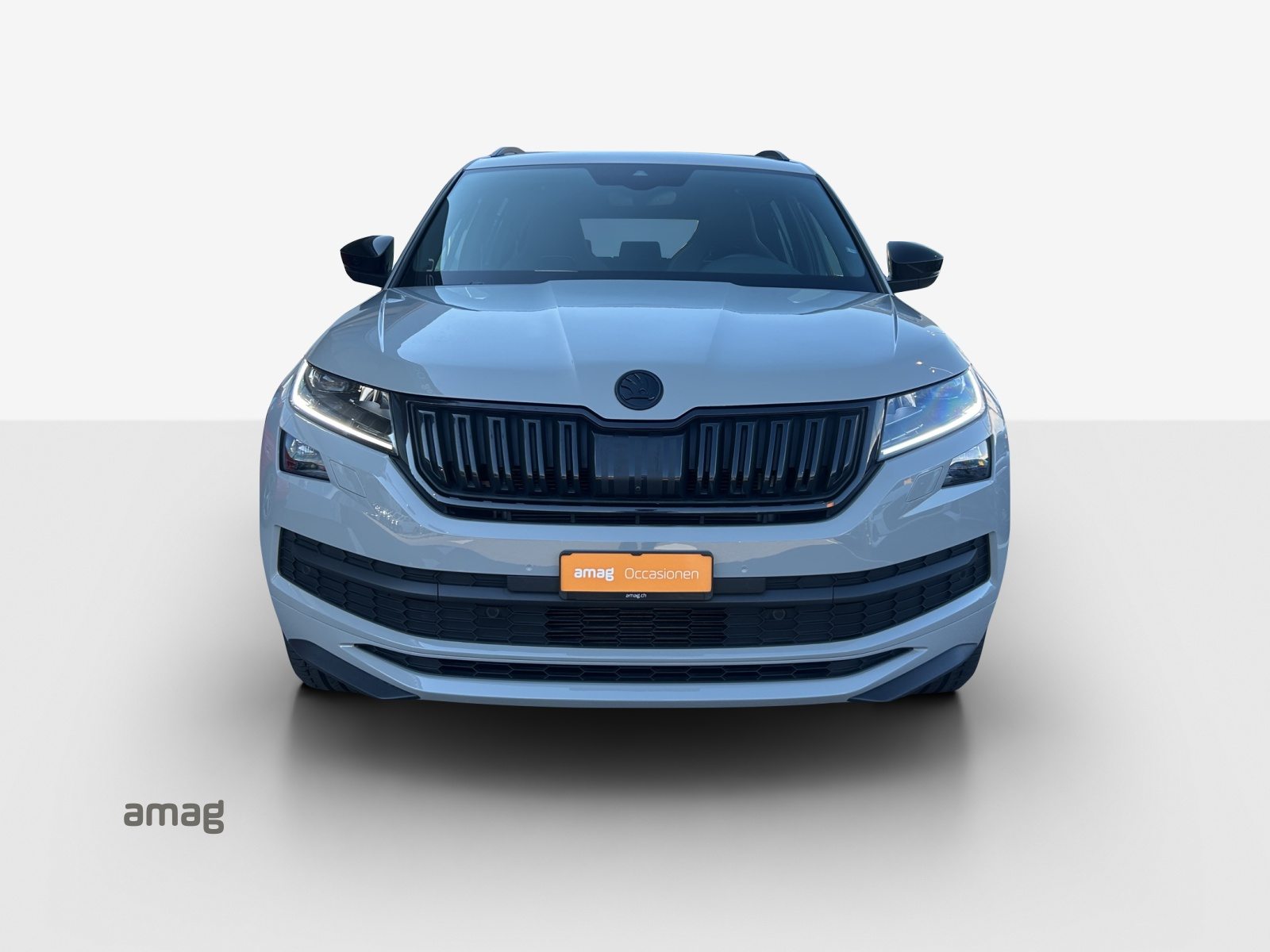 SKODA KODIAQ SportLine, Benzina, Occasioni / Usate, Automatico - 7