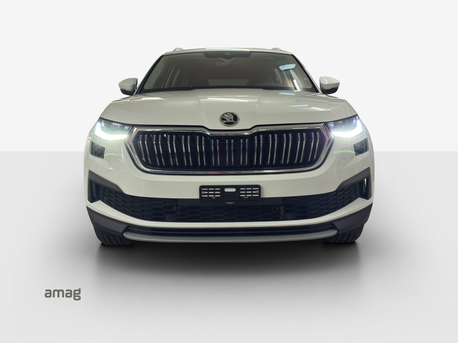 SKODA NEW KODIAQ Style, Petrol, Second hand / Used, Automatic - 7