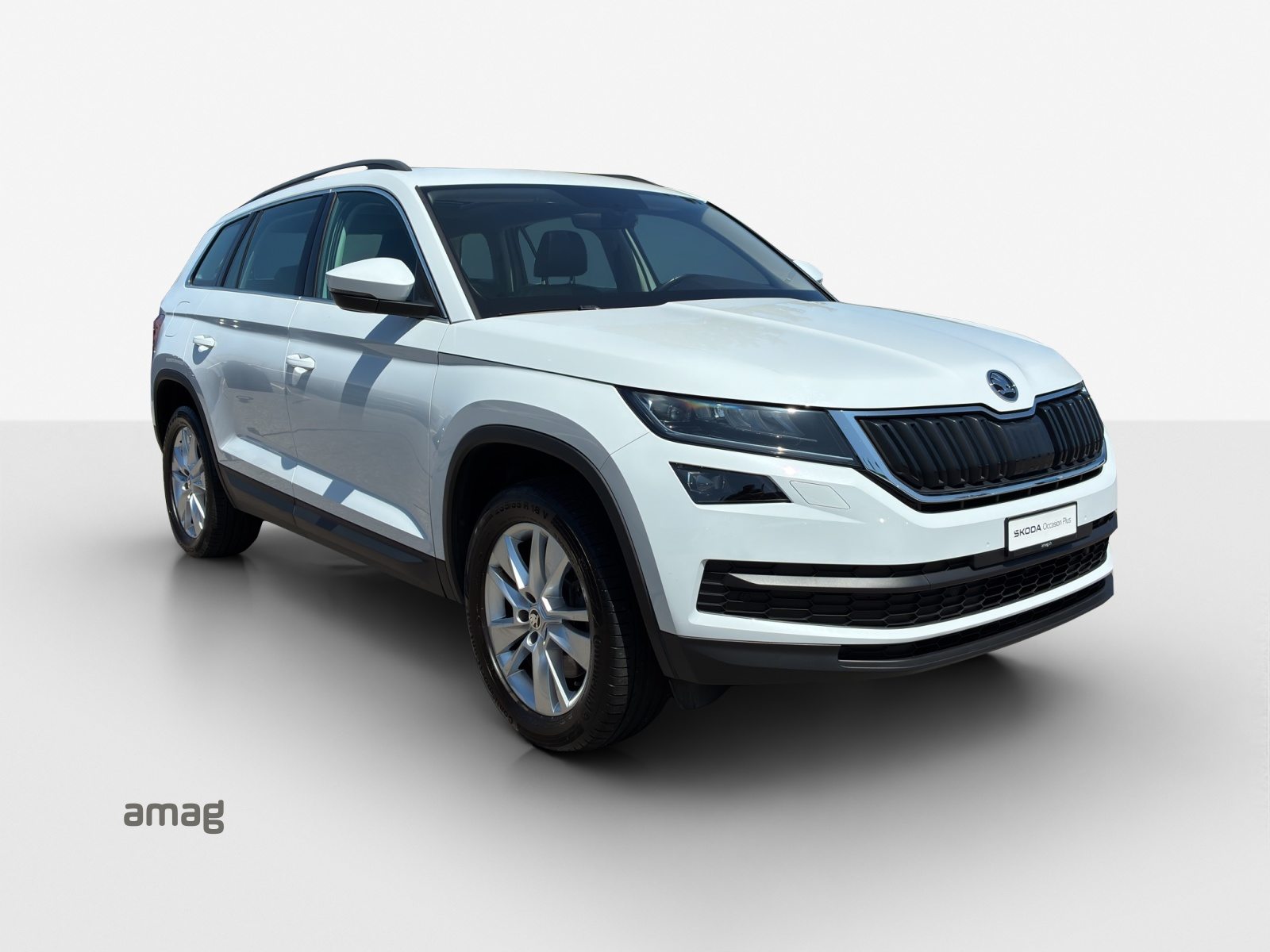 SKODA KODIAQ Style, Benzina, Occasioni / Usate, Automatico - 6