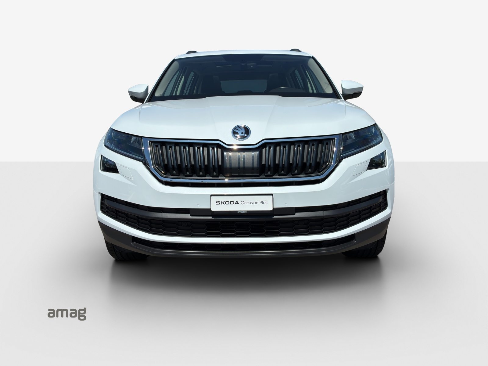 SKODA KODIAQ Style, Benzina, Occasioni / Usate, Automatico - 7