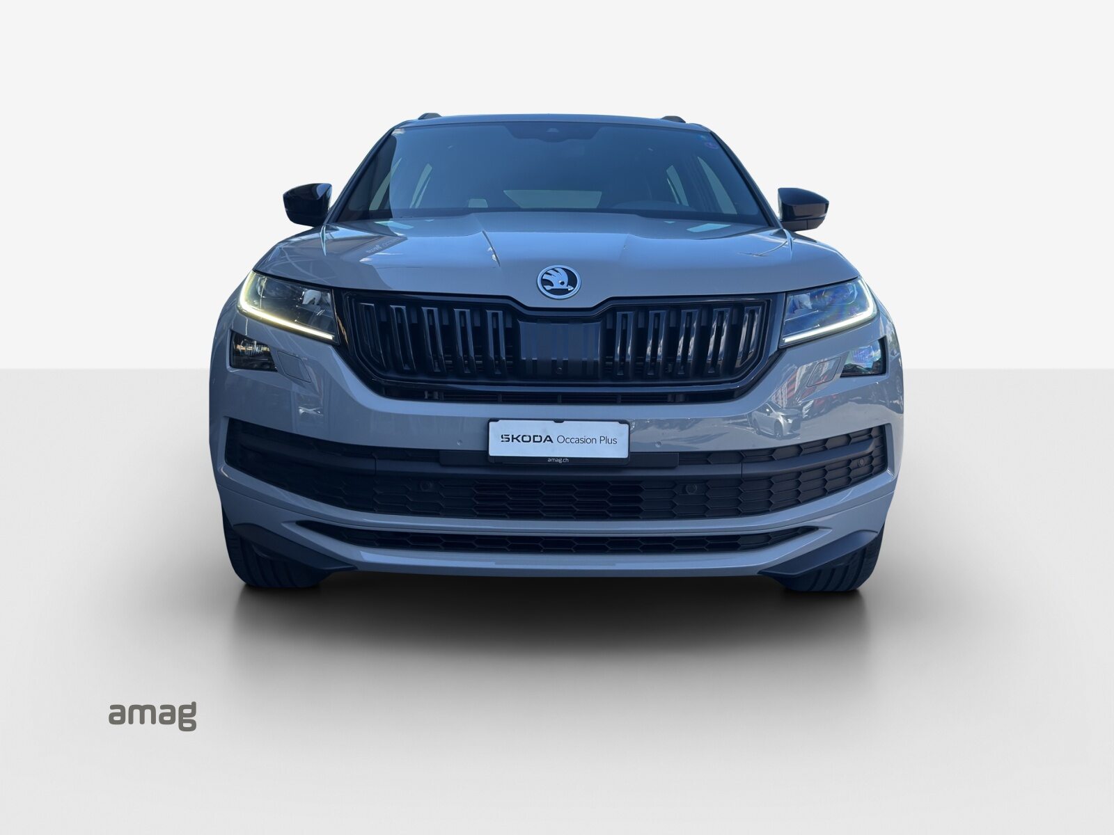 SKODA KODIAQ SportLine, Petrol, Second hand / Used, Automatic - 7
