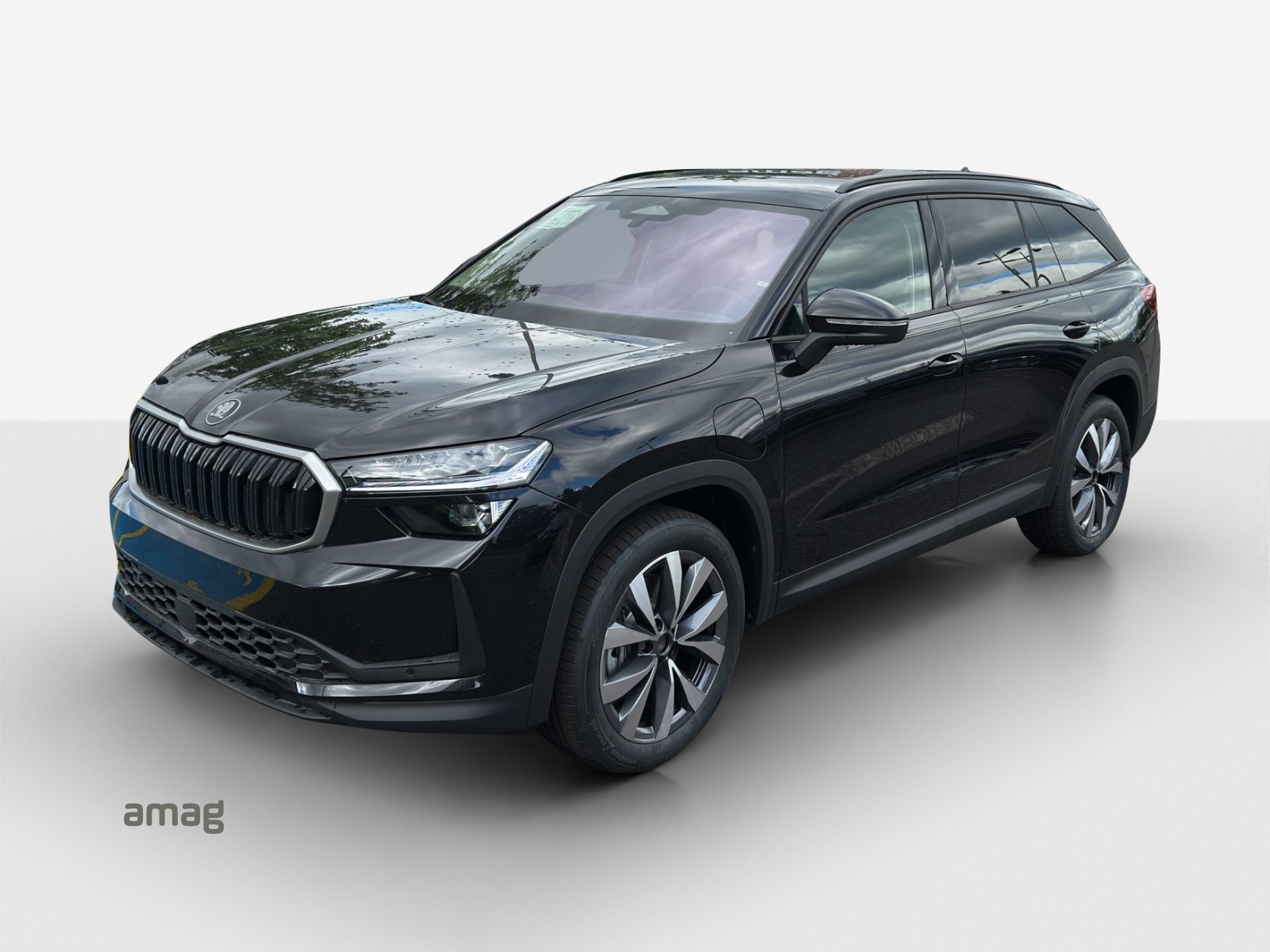 SKODA Kodiaq iV Dynamic (Netto)