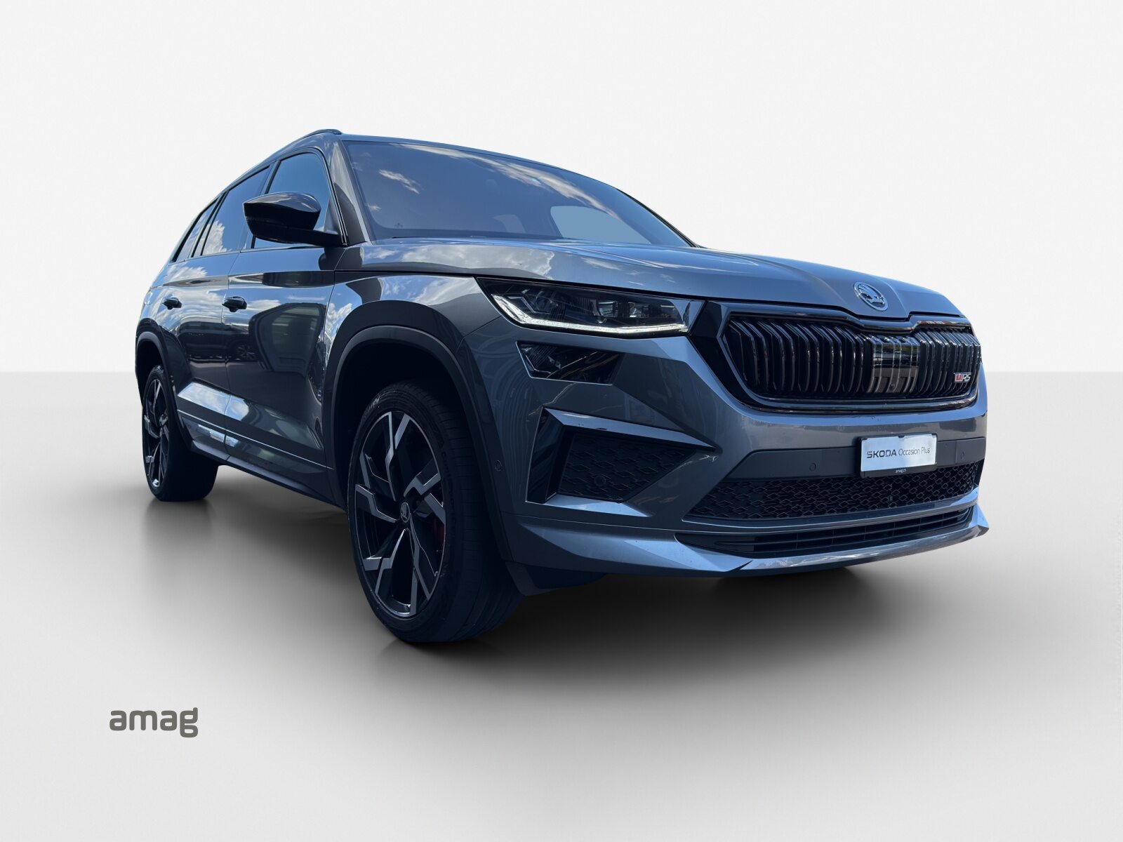 SKODA NEW KODIAQ RS, Benzina, Occasioni / Usate, Automatico - 6
