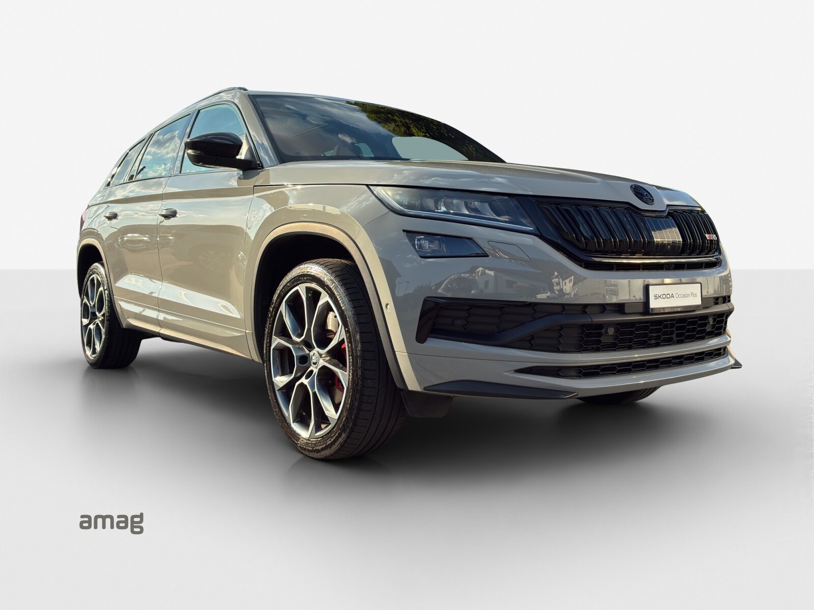 SKODA KODIAQ RS, Diesel, Occasion / Utilisé, Automatique - 6