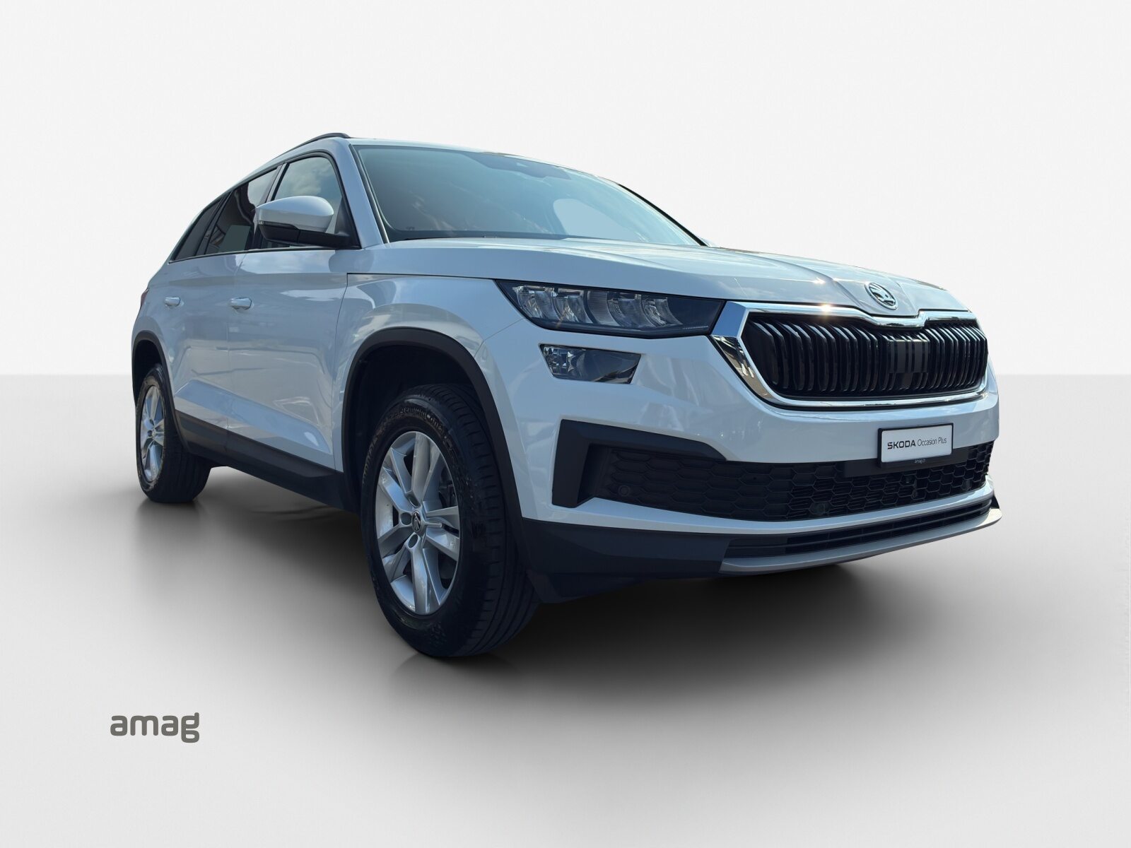 SKODA NEW KODIAQ Ambition, Diesel, Occasion / Utilisé, Automatique - 6