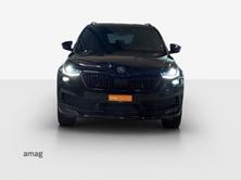 SKODA NEW KODIAQ SportLine, Diesel, Occasion / Utilisé, Automatique - 7