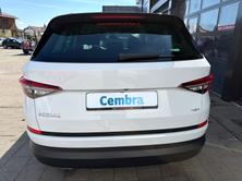 SKODA Kodiaq 2.0 TDI CR Ambition 4x4 DSG, Diesel, Second hand / Used, Automatic - 5