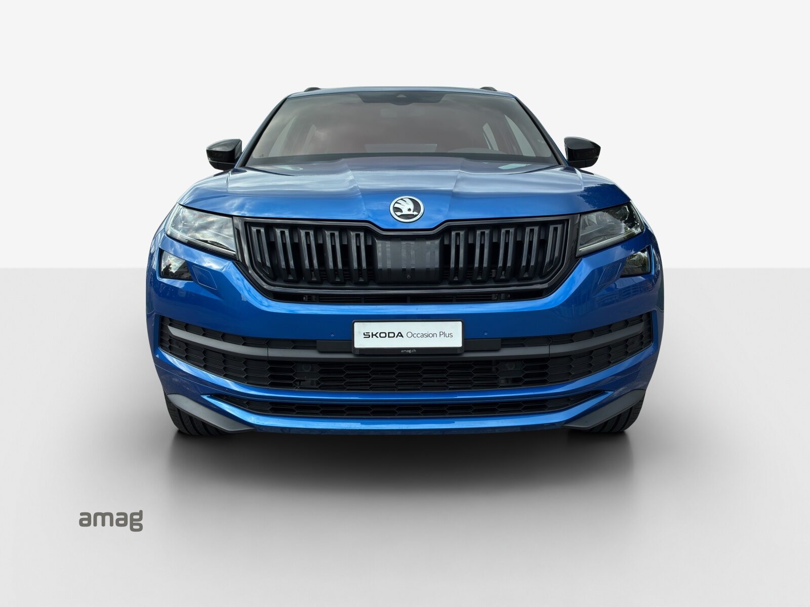 SKODA KODIAQ SportLine, Diesel, Occasioni / Usate, Automatico - 7