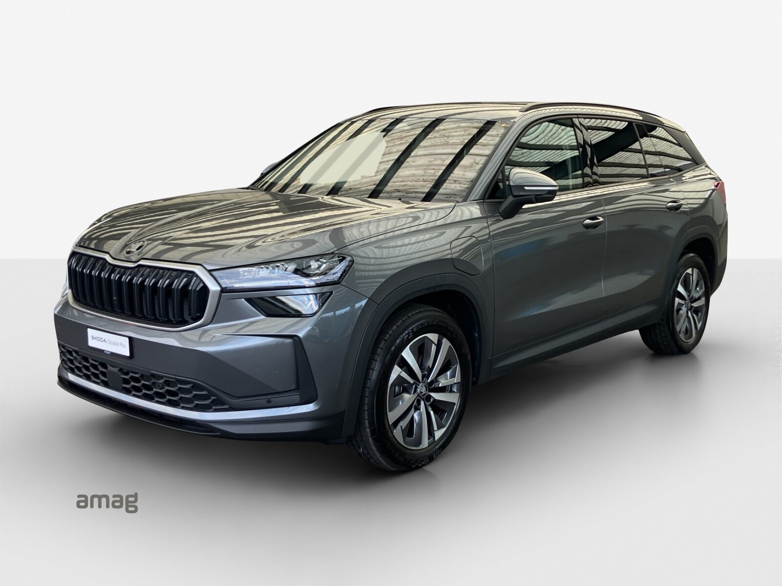 SKODA Kodiaq iV Dynamic (Netto)