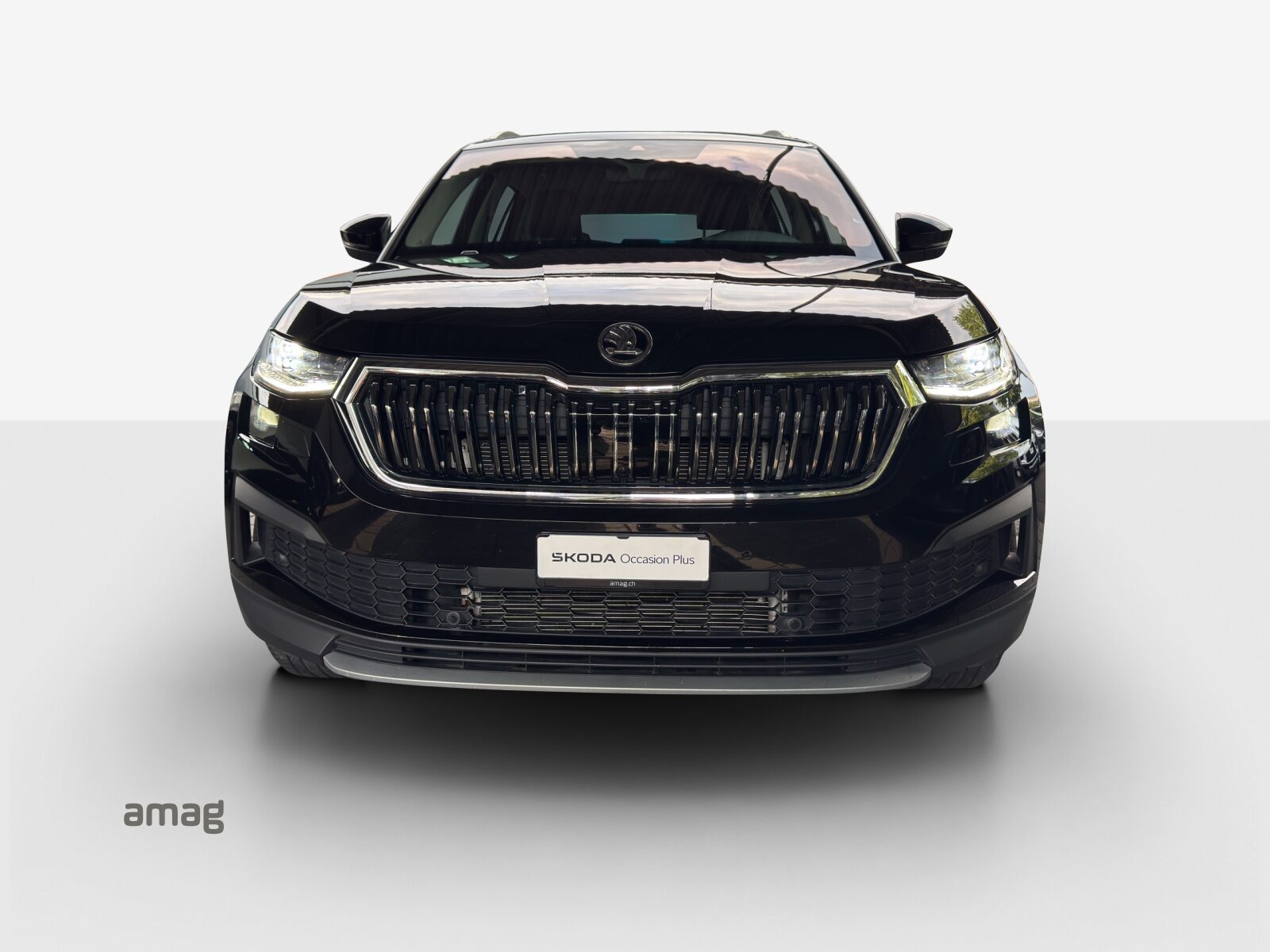 SKODA NEW KODIAQ Style, Diesel, Occasion / Gebraucht, Automatik - 7