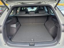 SKODA Kodiaq RS, Essence, Occasion / Utilisé, Automatique - 6