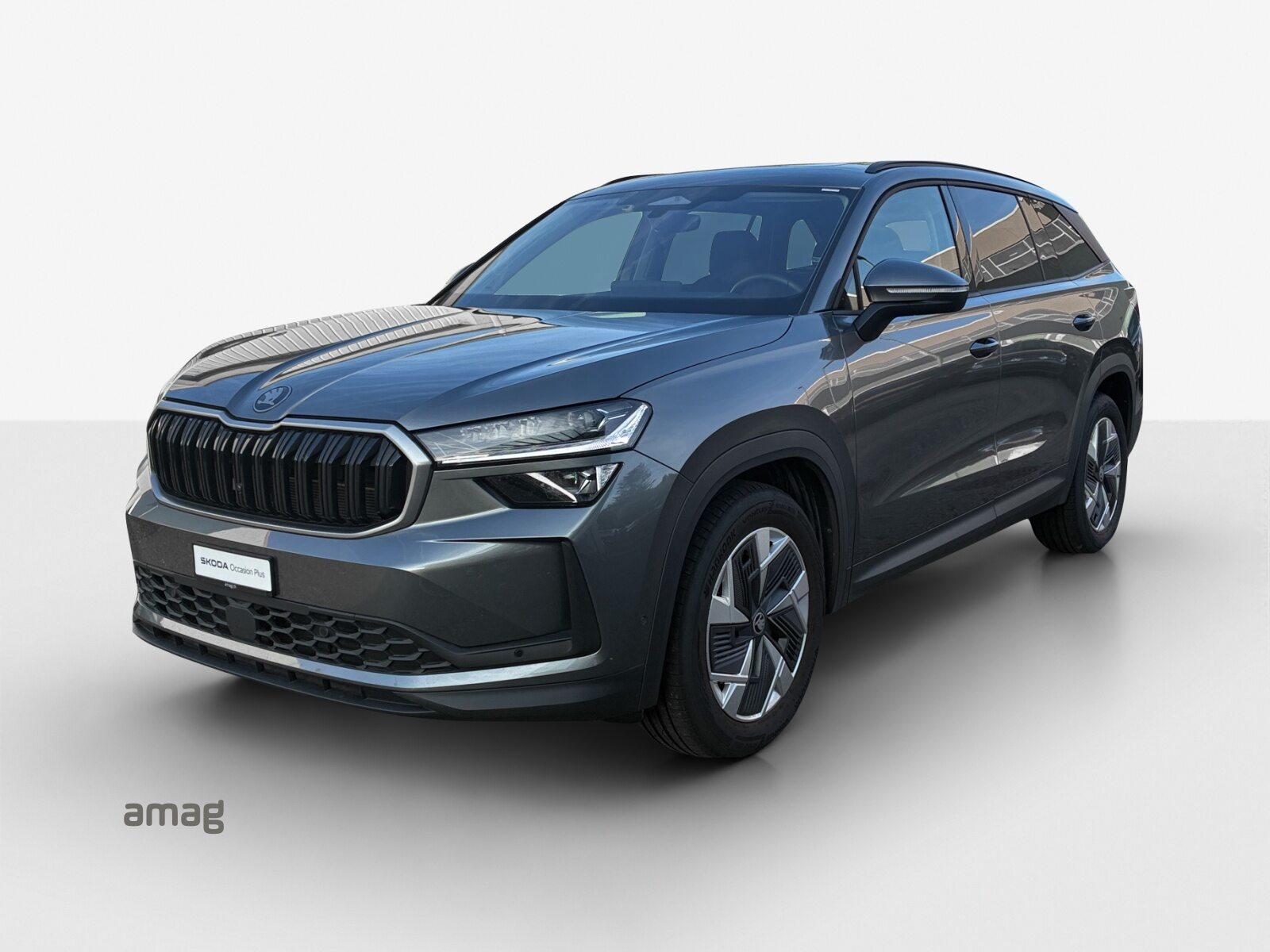 SKODA Kodiaq Dynamic (Netto)