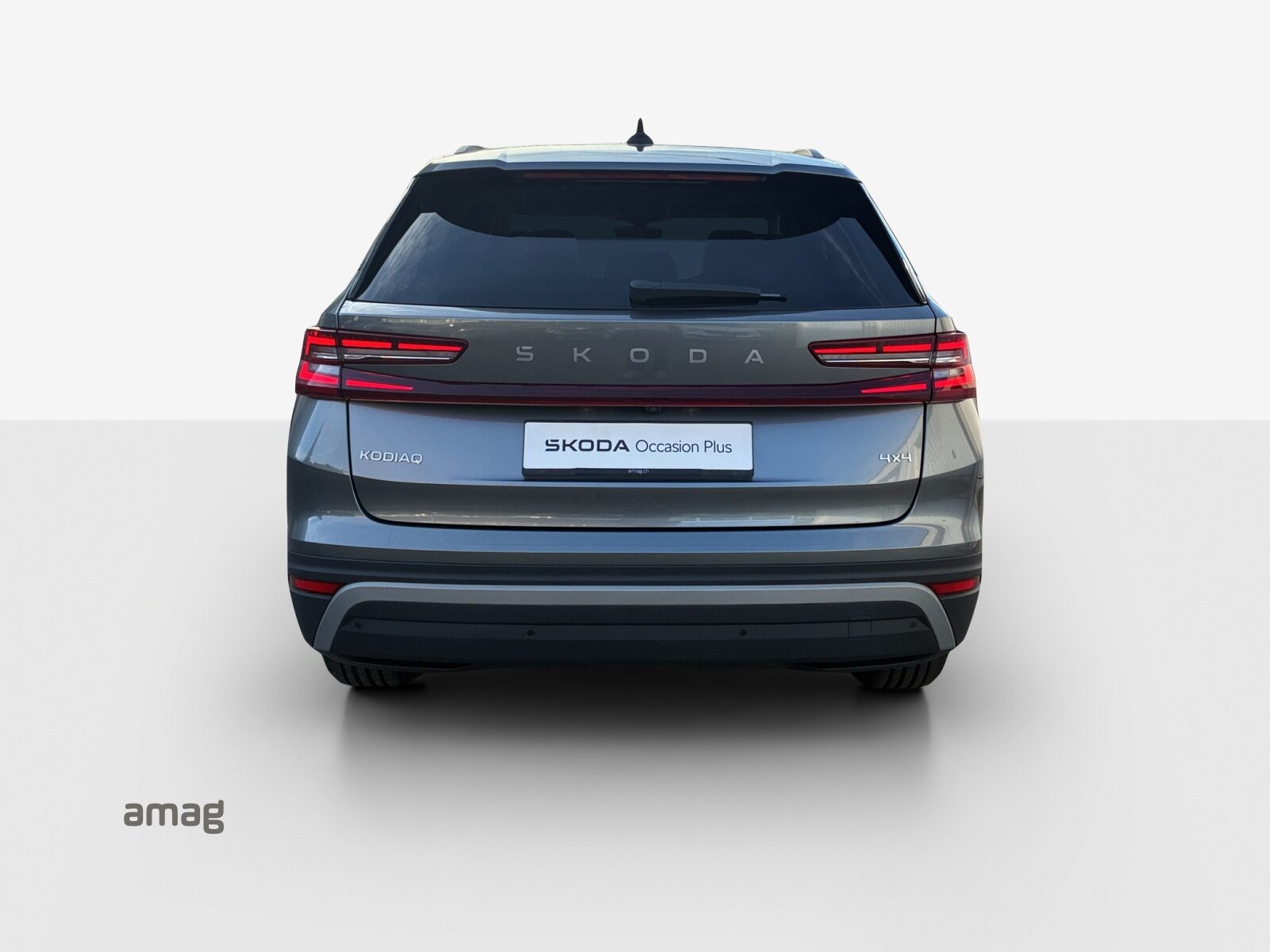 SKODA Kodiaq Dynamic (Netto), Benzina, Occasioni / Usate, Automatico - 4