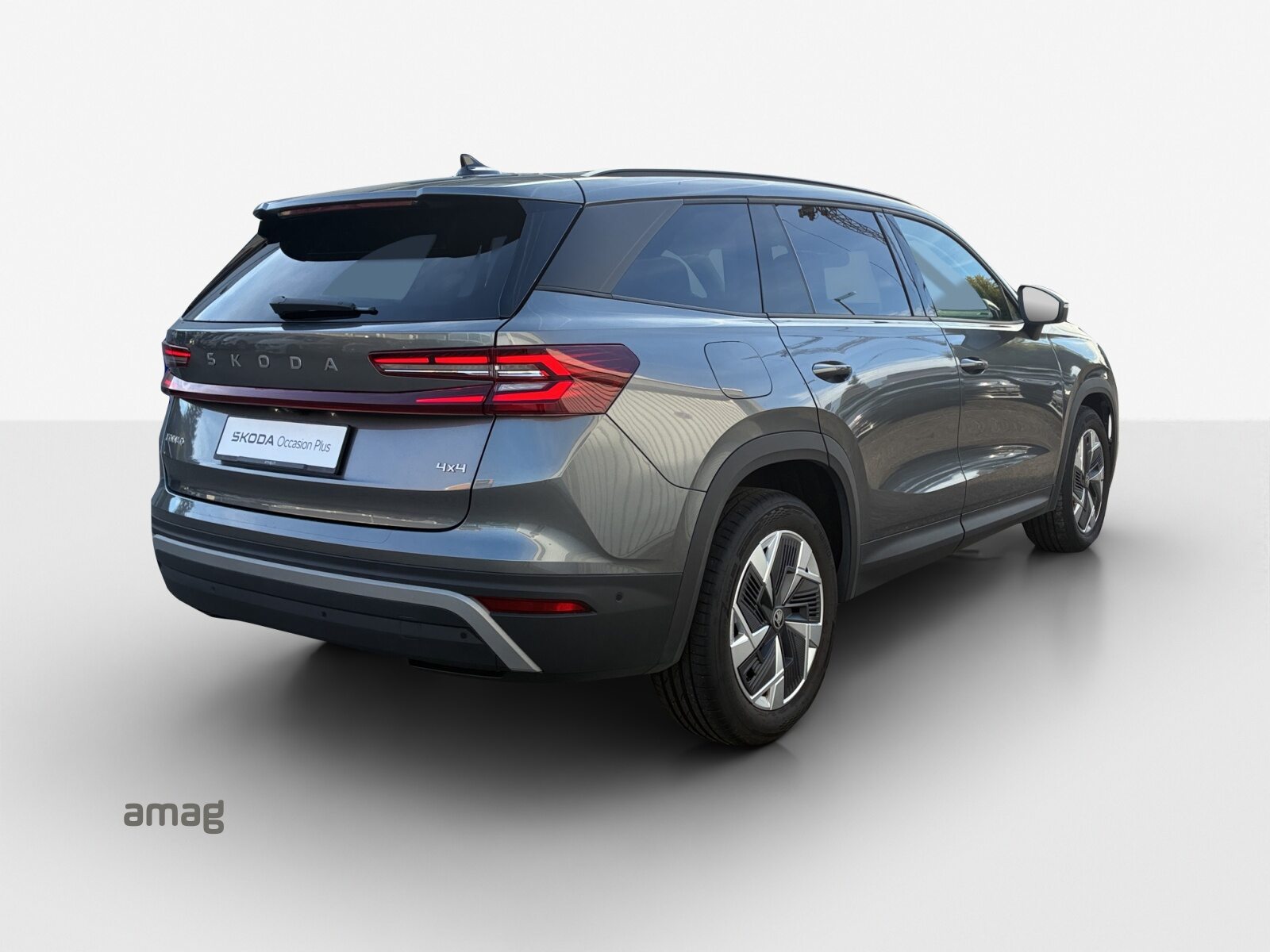 SKODA Kodiaq Dynamic (Netto), Benzina, Occasioni / Usate, Automatico - 5