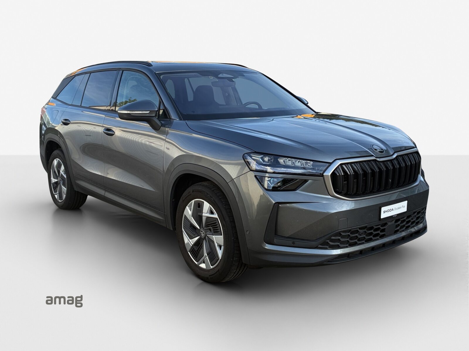 SKODA Kodiaq Dynamic (Netto), Benzina, Occasioni / Usate, Automatico - 6