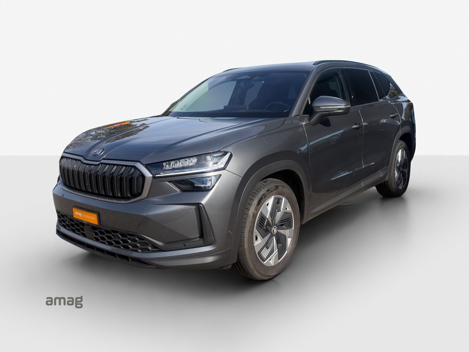 SKODA Kodiaq Dynamic (Netto)