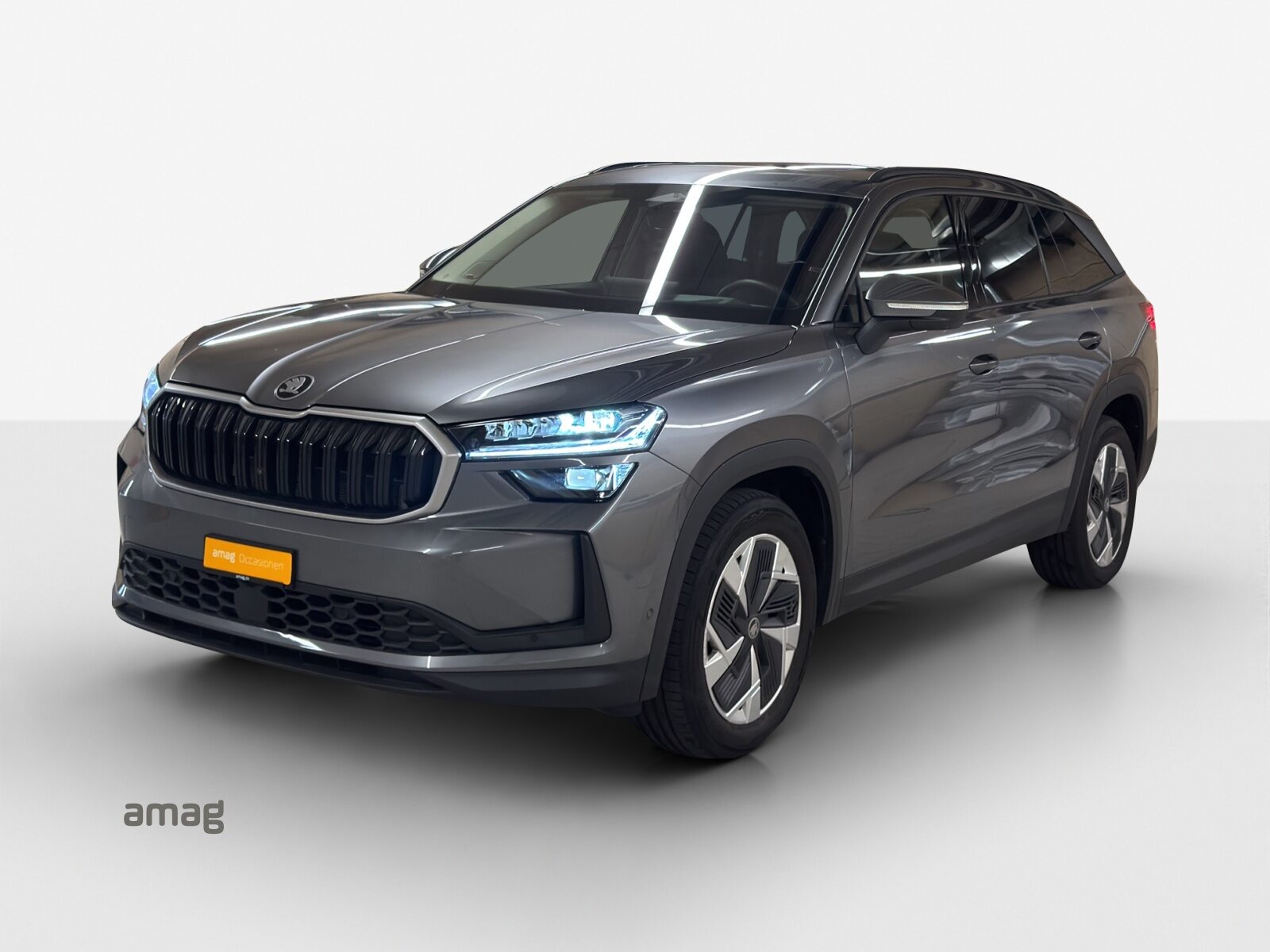 SKODA Kodiaq Dynamic (Netto)
