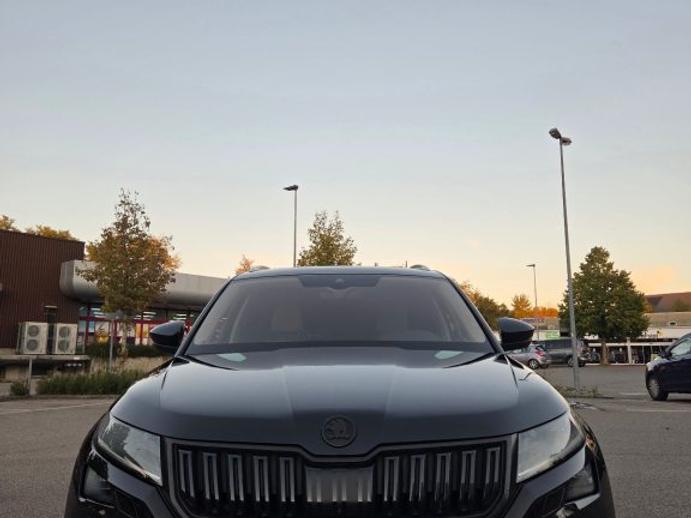 SKODA KODIAQ 2.0 TSI Ambition DSG, Petrol, Second hand / Used, Automatic