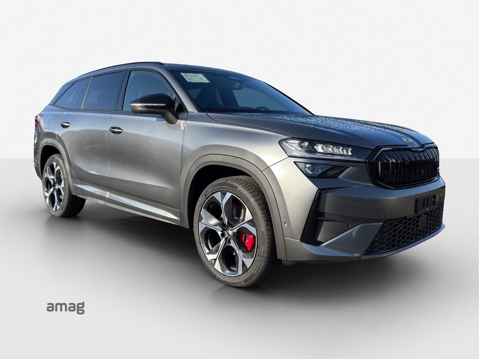 SKODA Kodiaq RS, Benzina, Auto dimostrativa, Automatico - 6