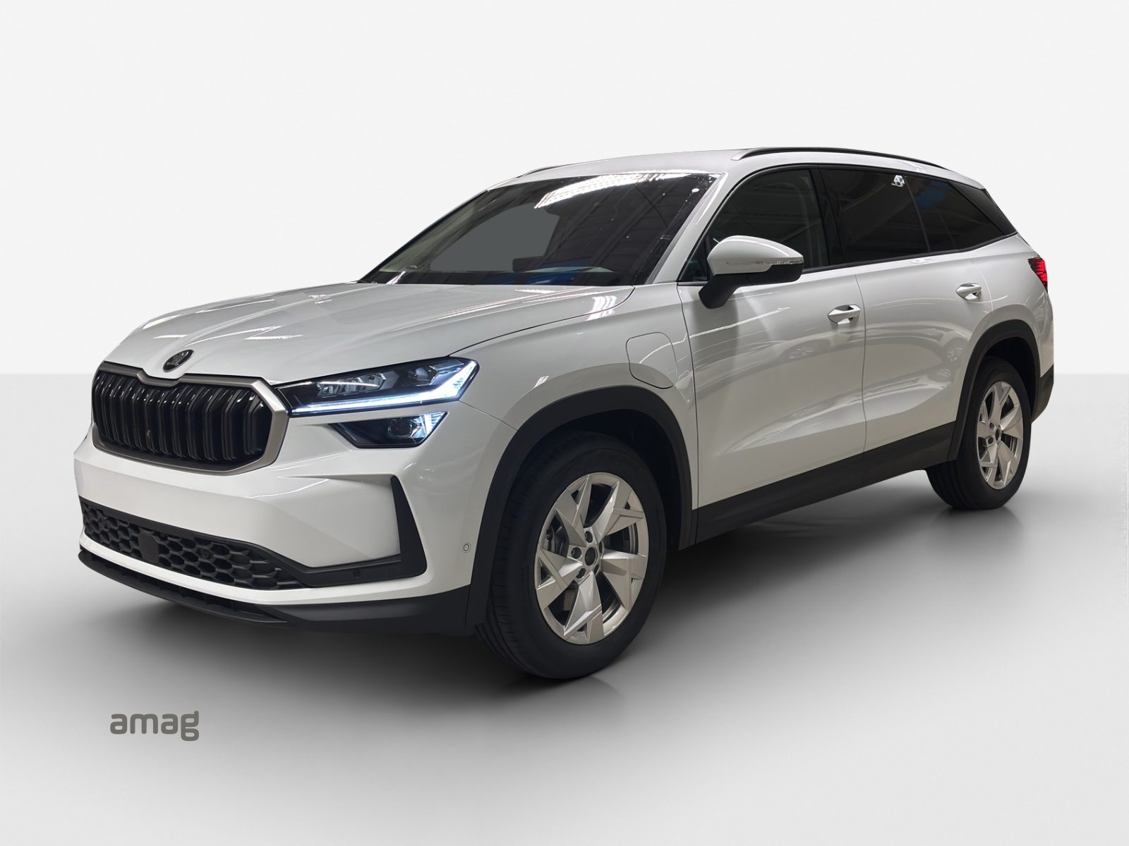 SKODA Kodiaq iV Dynamic (Netto)