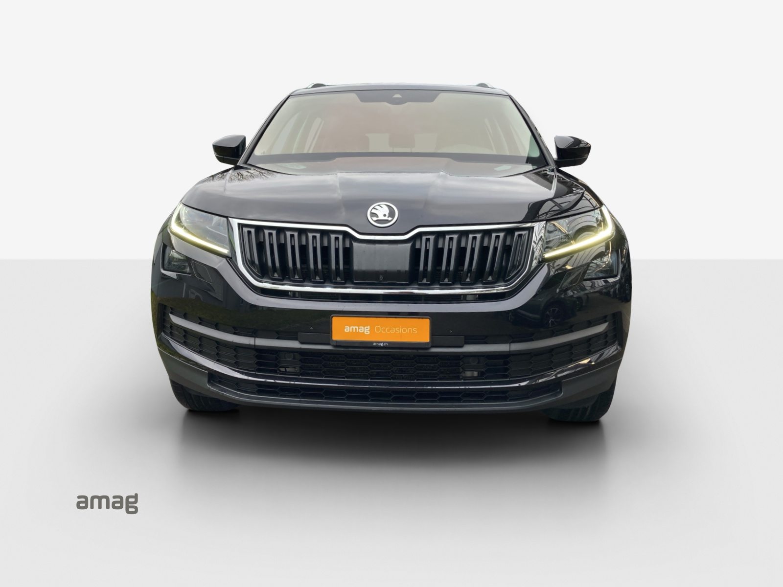 SKODA KODIAQ STYLE, Diesel, Occasioni / Usate, Automatico - 7