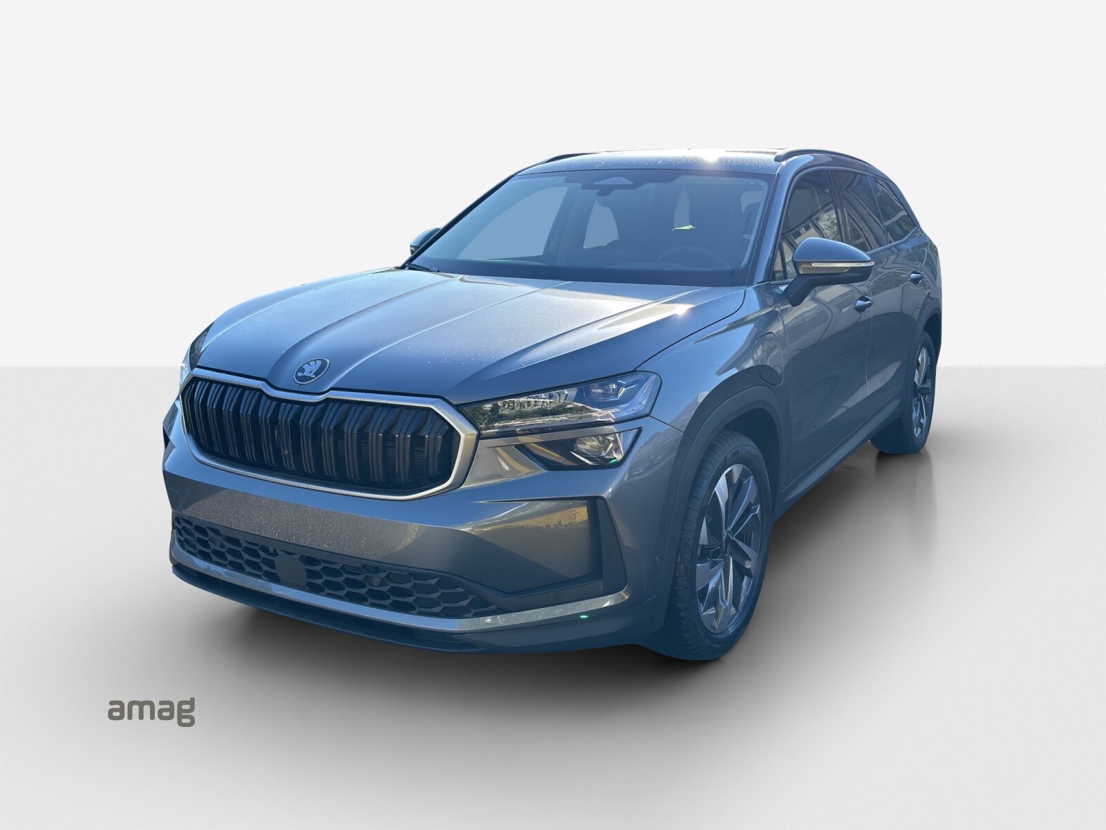 SKODA Kodiaq iV Dynamic (Netto)